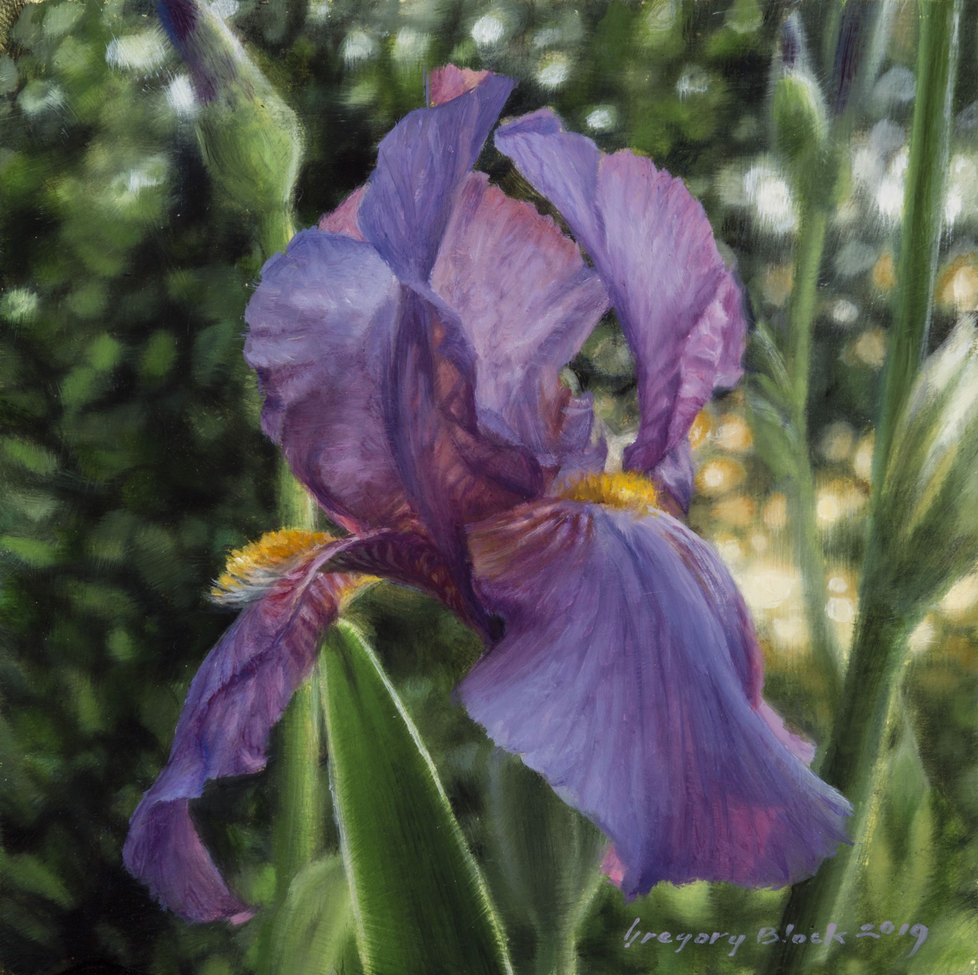 Iris 3 by Gregory Block