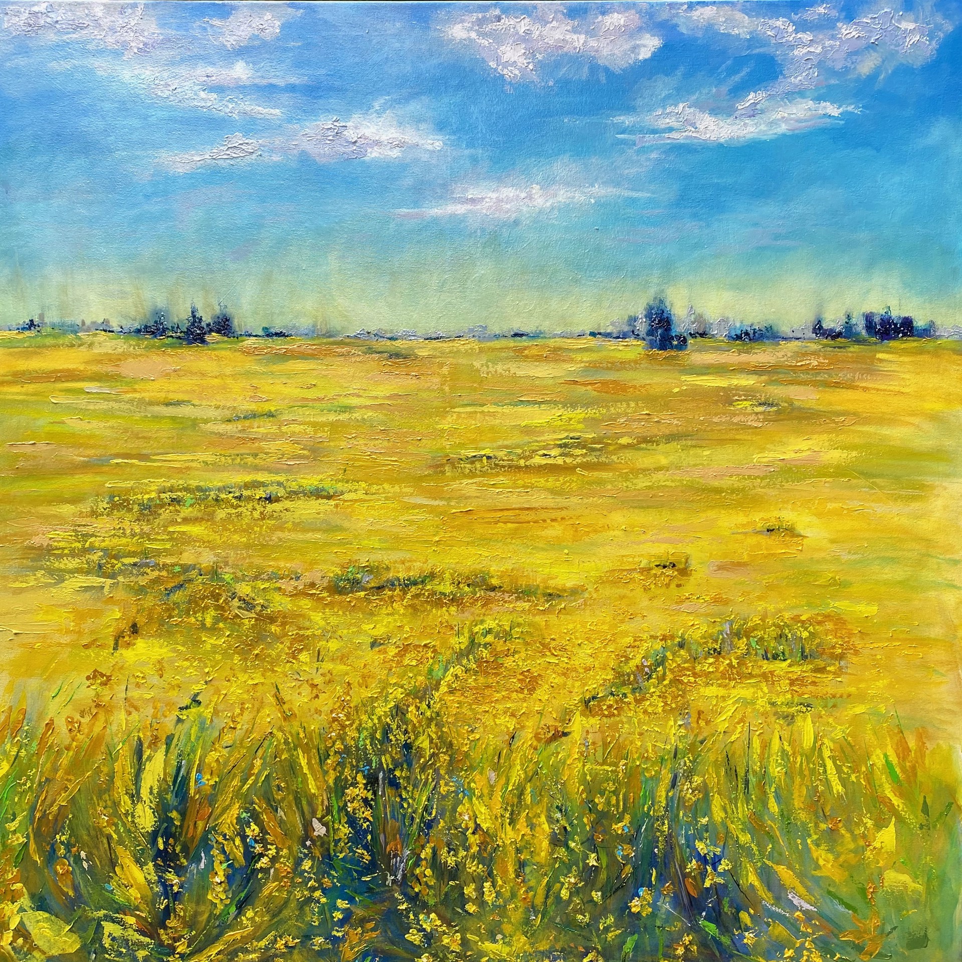 Golden Field by Carrie Ruddy