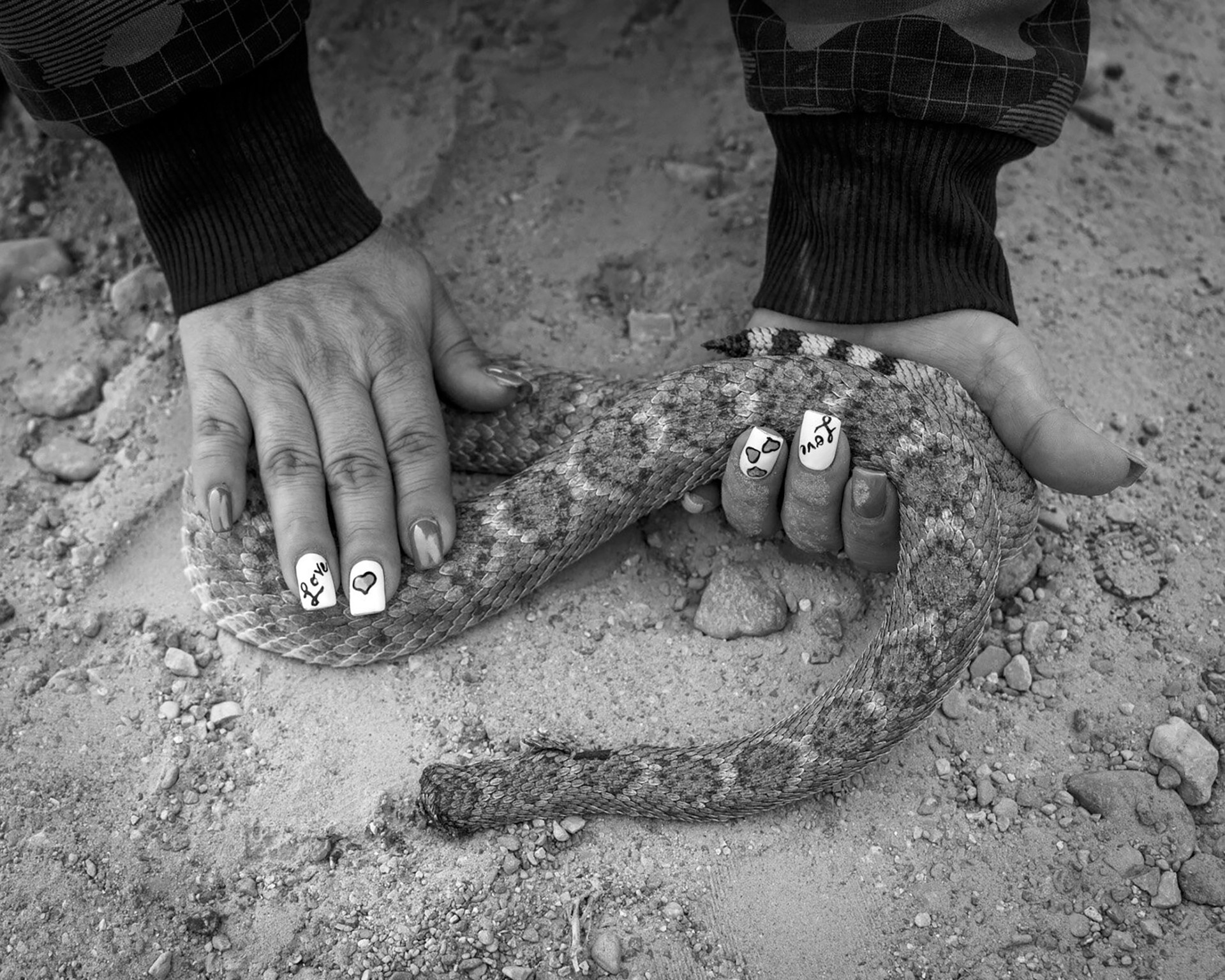 Rattlesnake Love - Presidio County, Texas by Kevin Greenblat