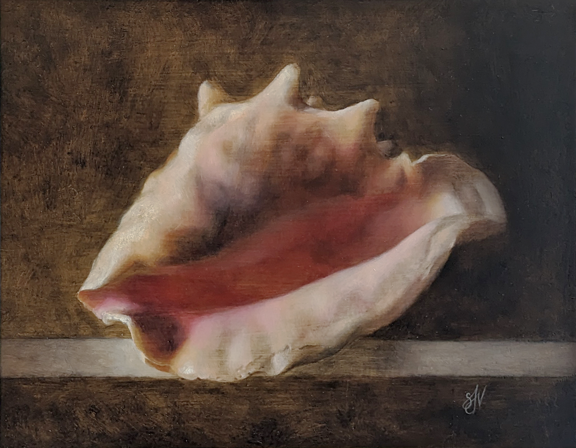 Glazed Conch by Sadie Valeri