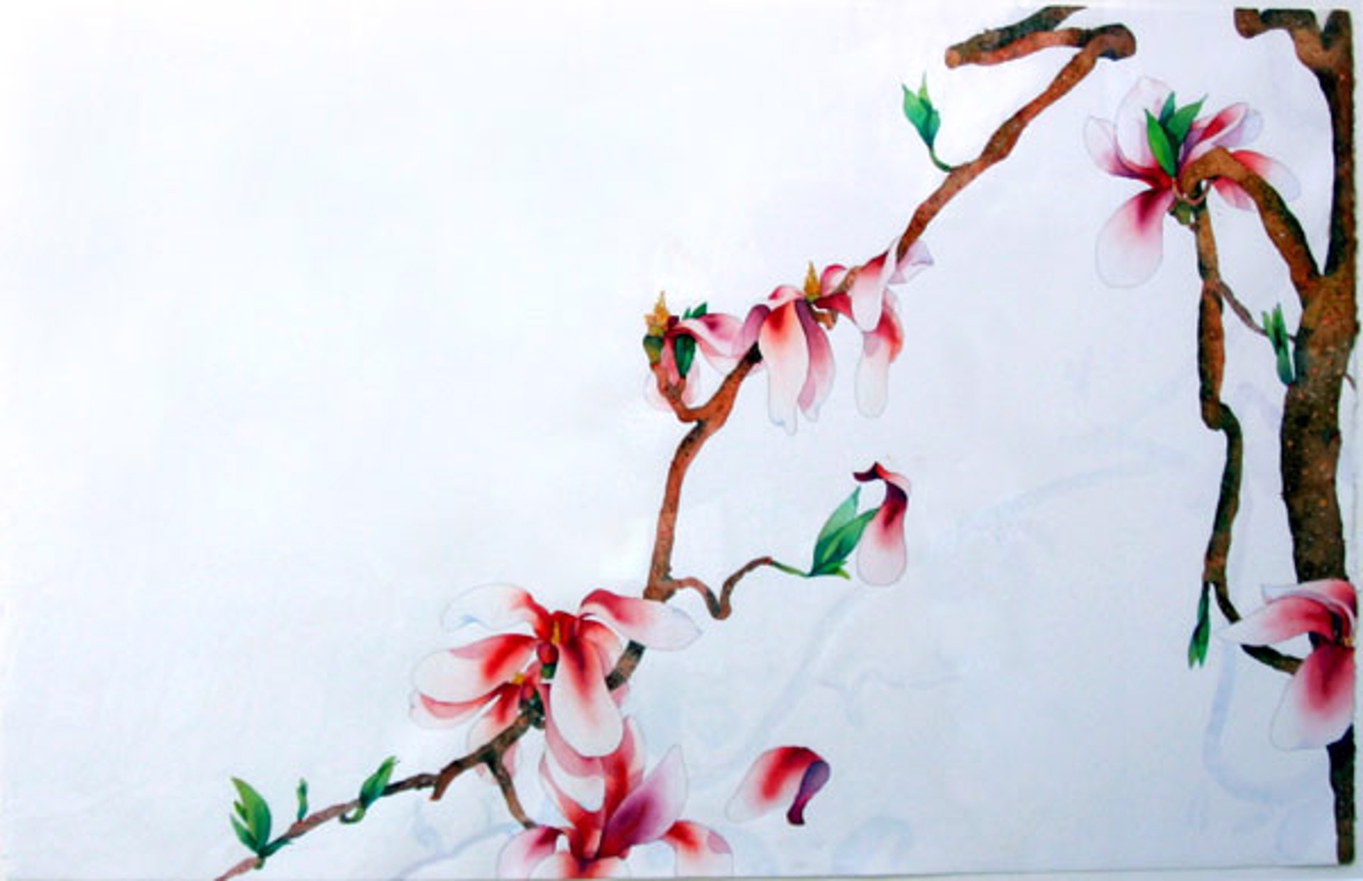 Untitled - Flowers on Vine by Robert Sinclair