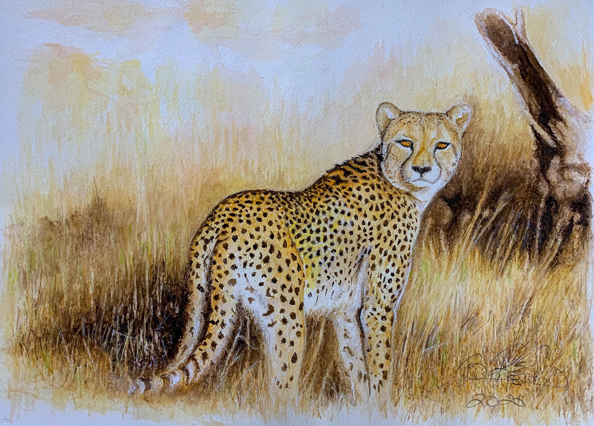 Cheetah by Bill The Mechanic