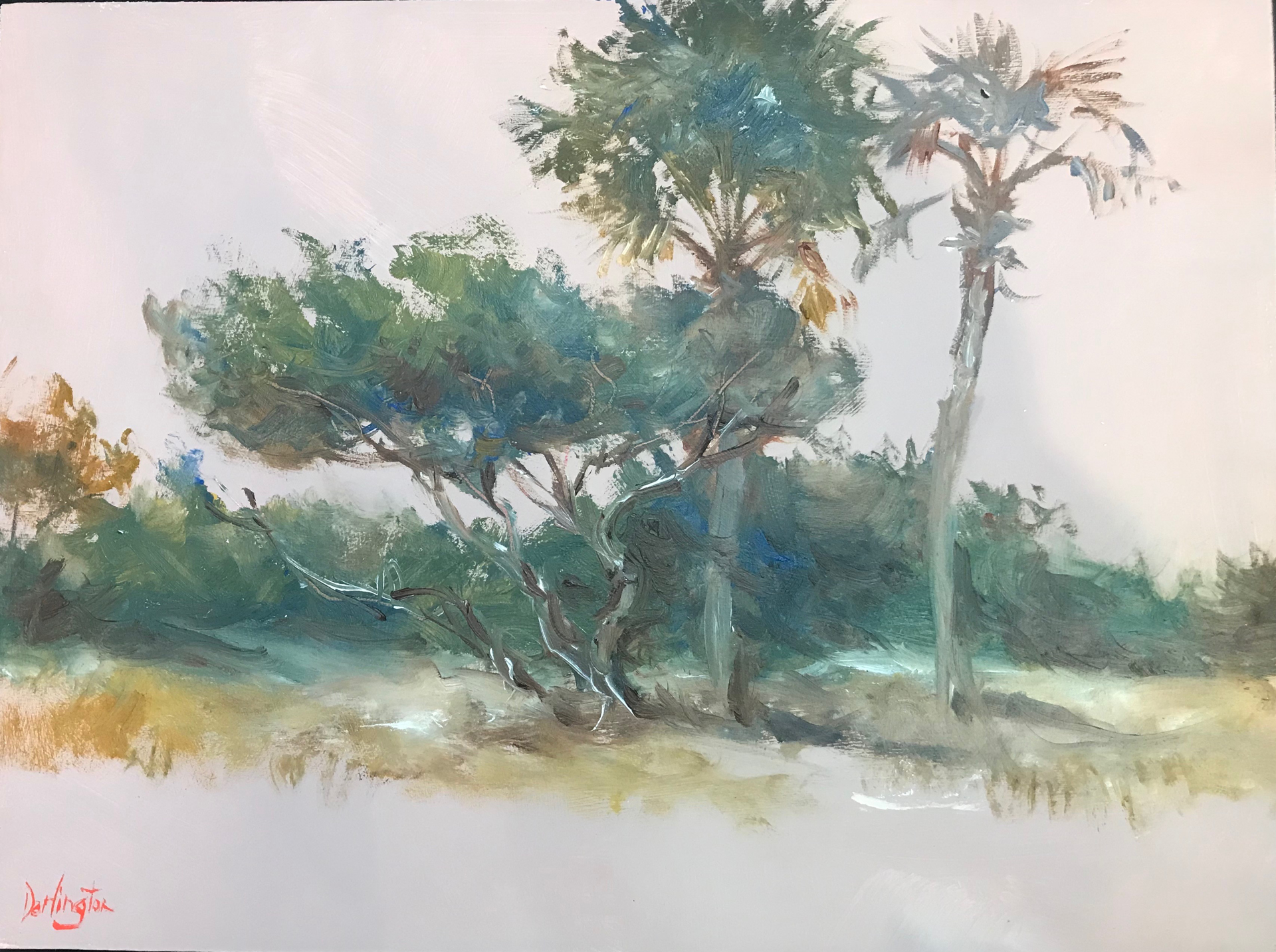 Study of the Cedar Tree and Palmettos by Jim Darlington