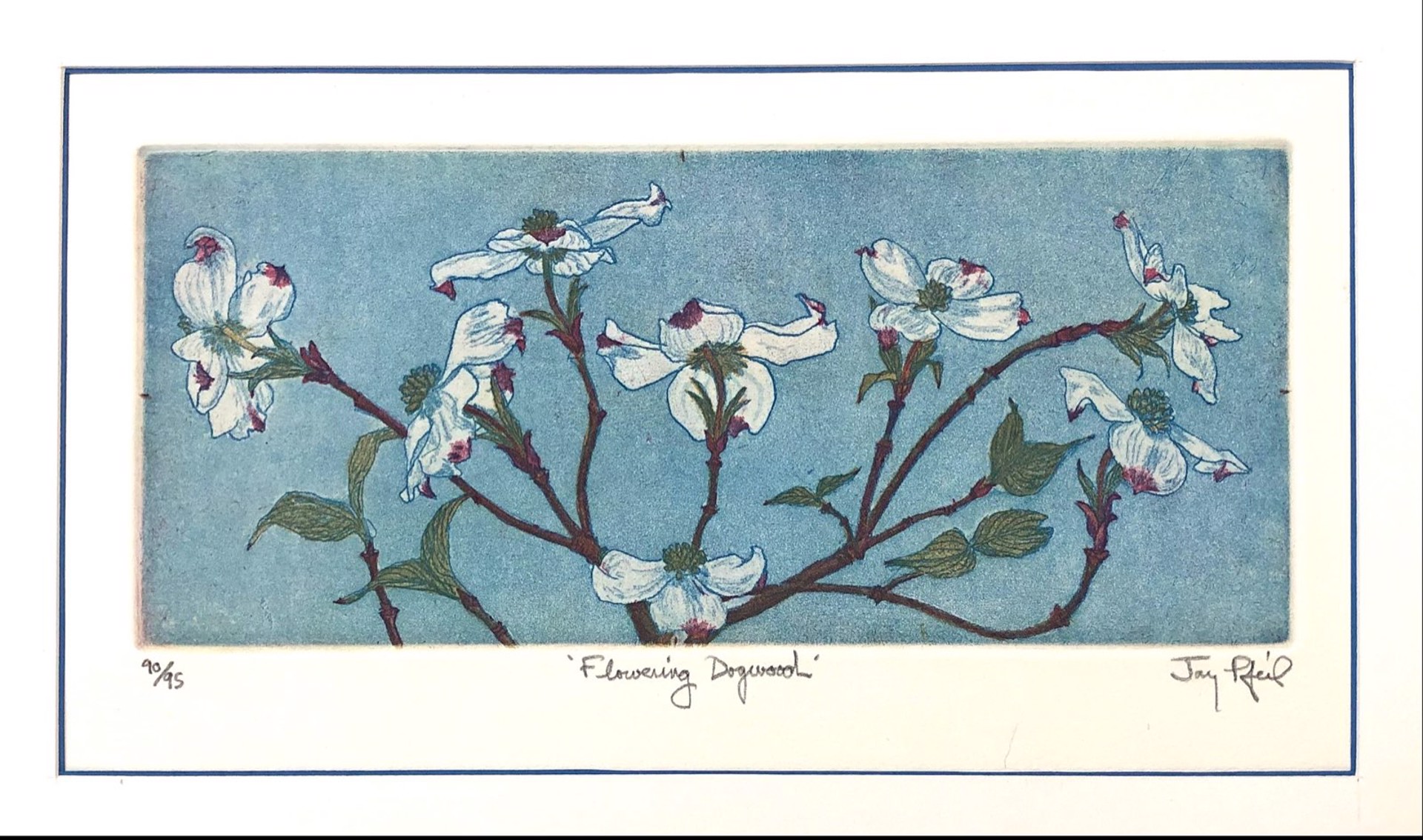 Flowering Dogwood (Unframed) by Jay Pfeil