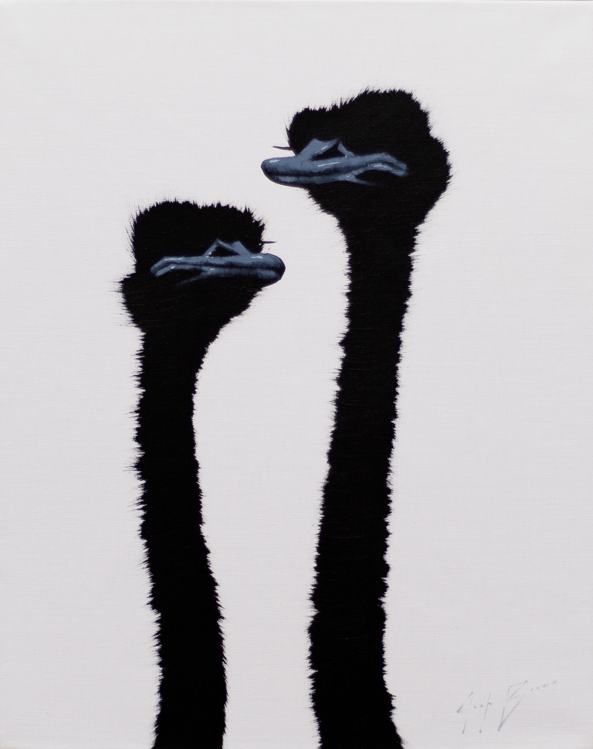 Two Blue Ostrich on White by Josh Brown