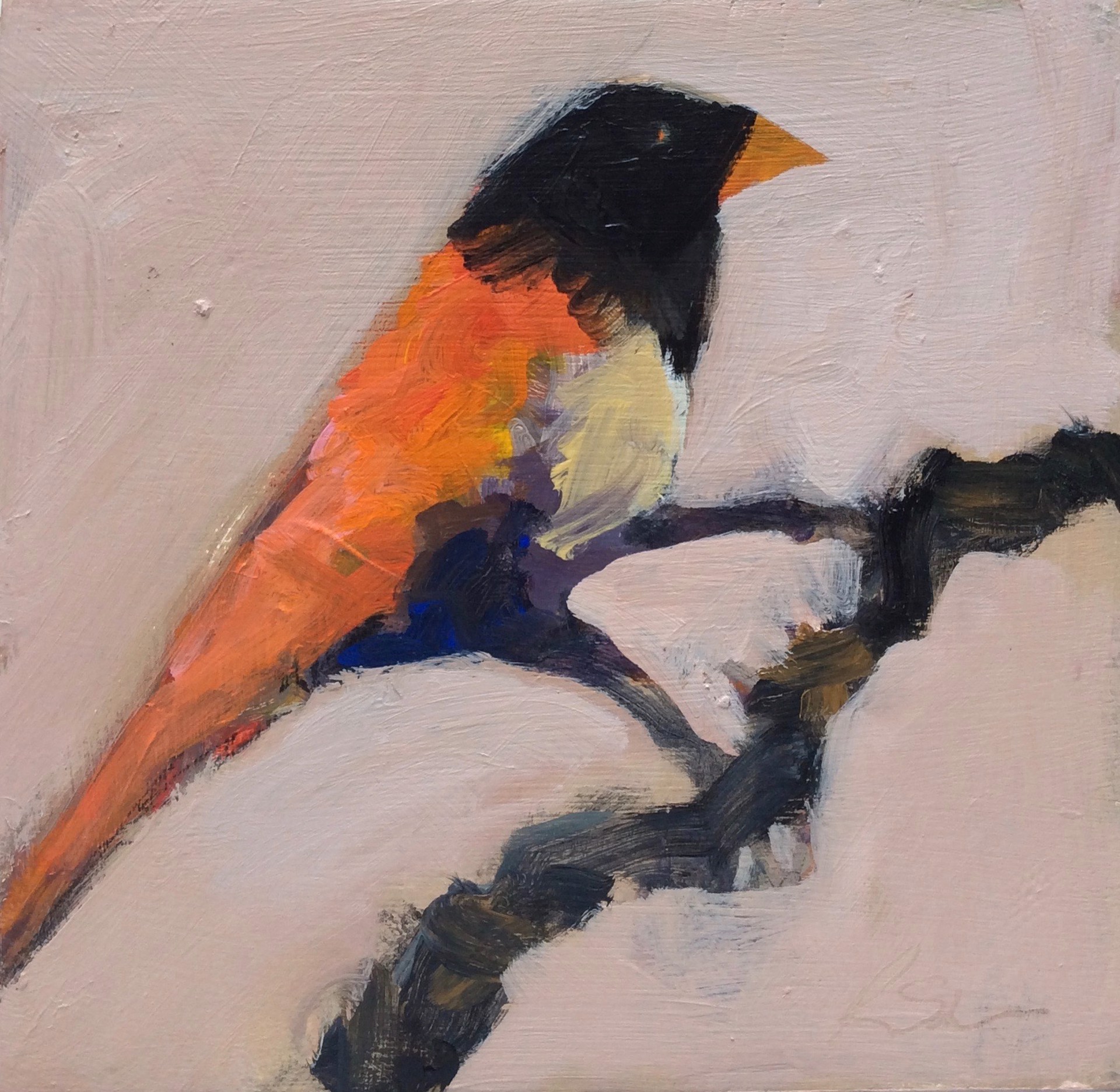 Bird on Branch #1 by Robert Schlegel