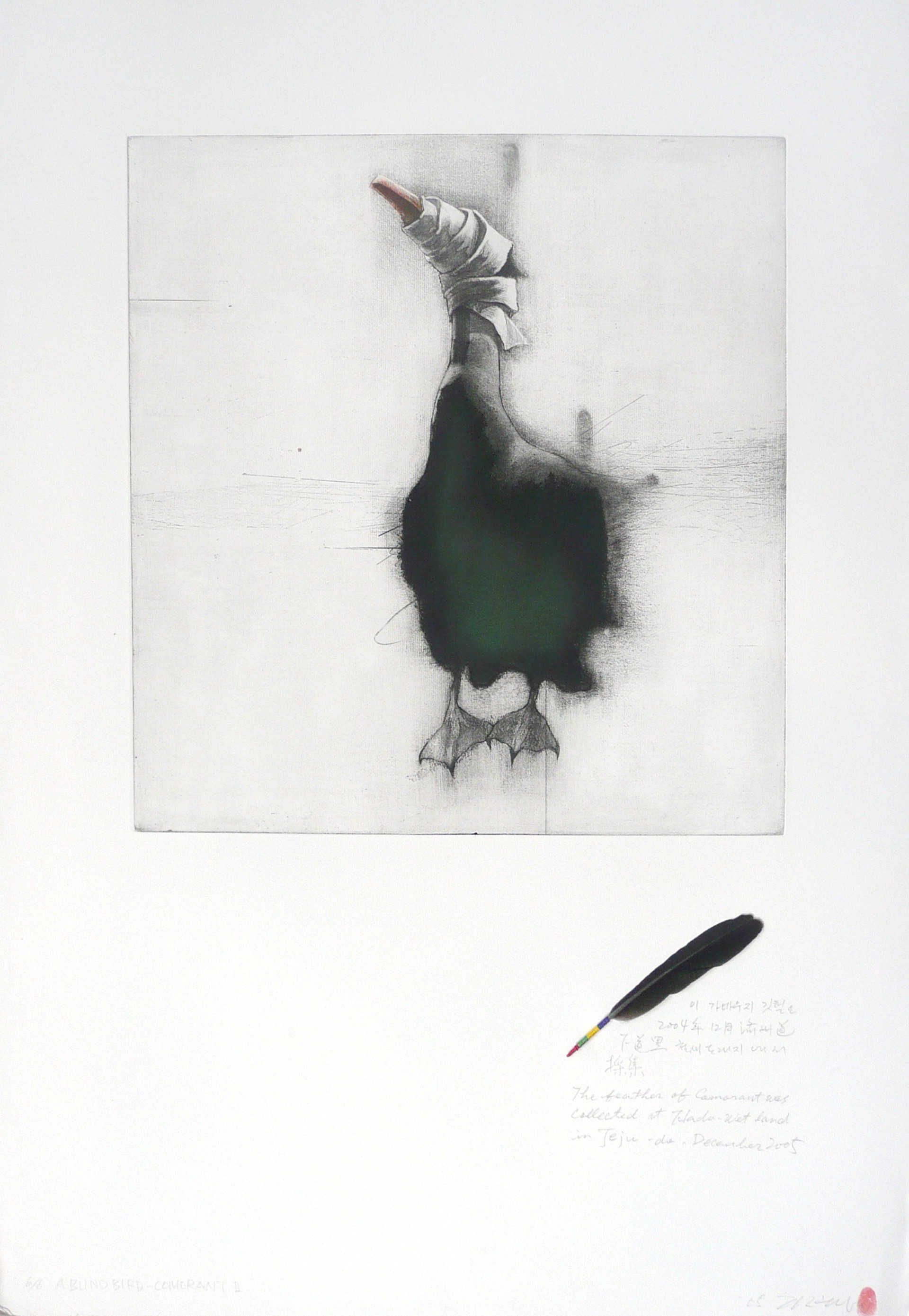 A Blind Bird: Cormorant II (6/6) by Gilchun Koh
