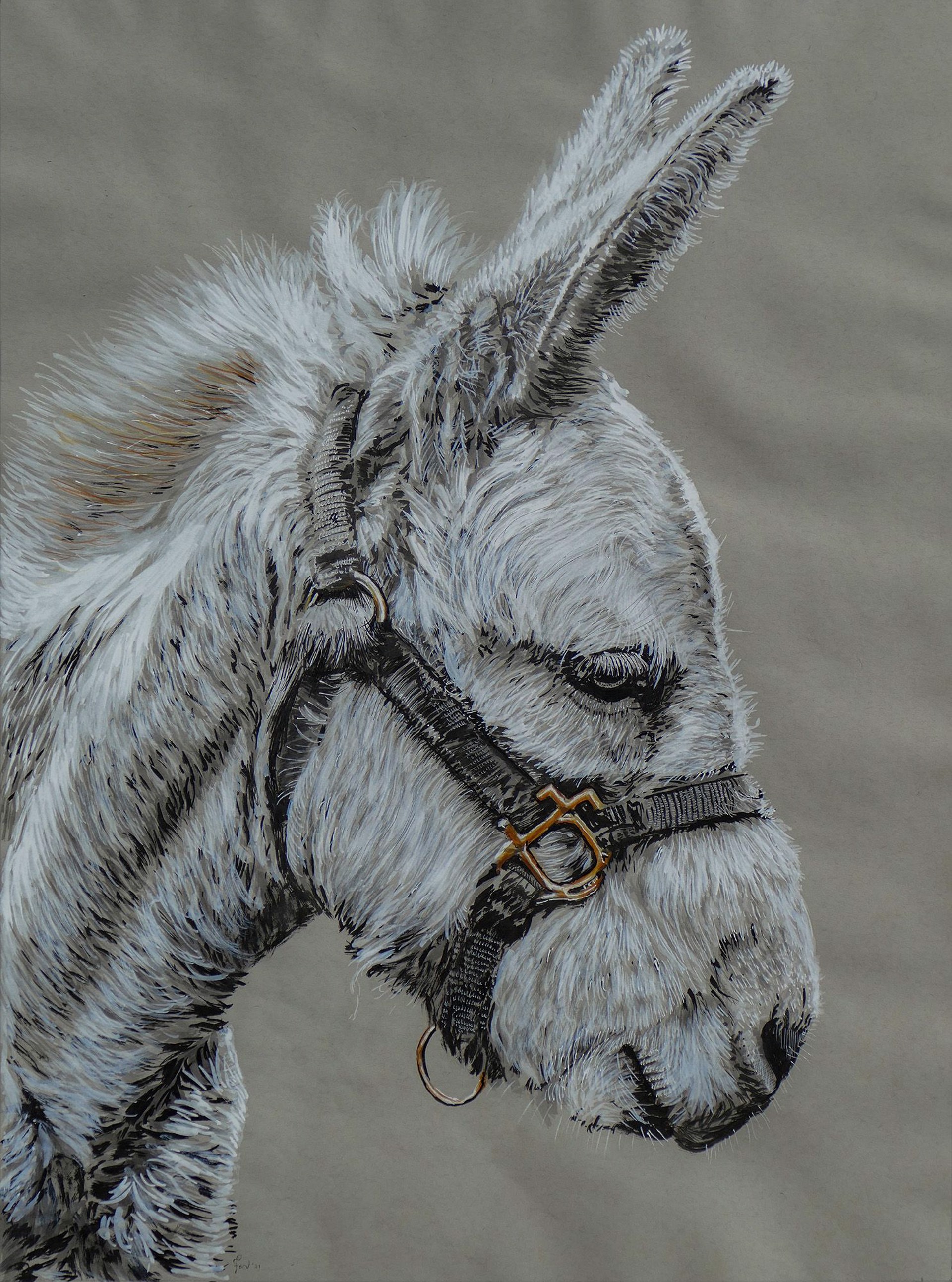White Donkey by Ed Ford