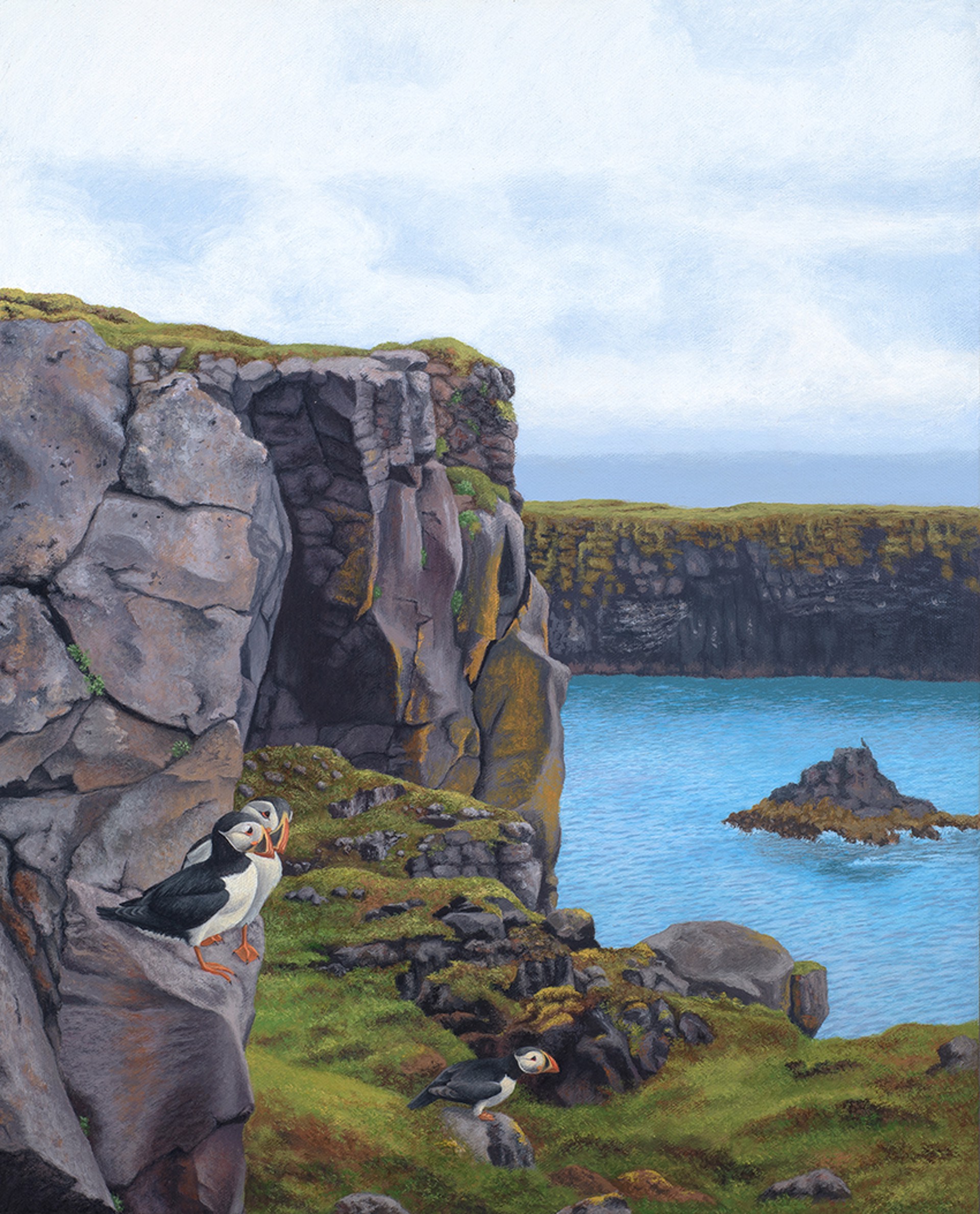 Icelandic Puffins by Andrea Johnson