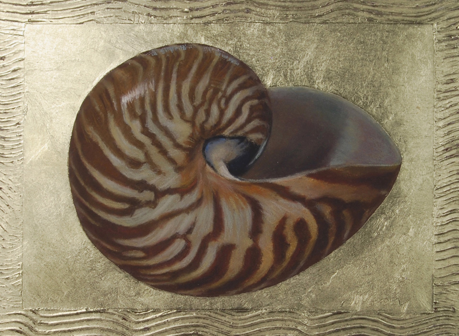Tiger Nautilus by Anne McGrory