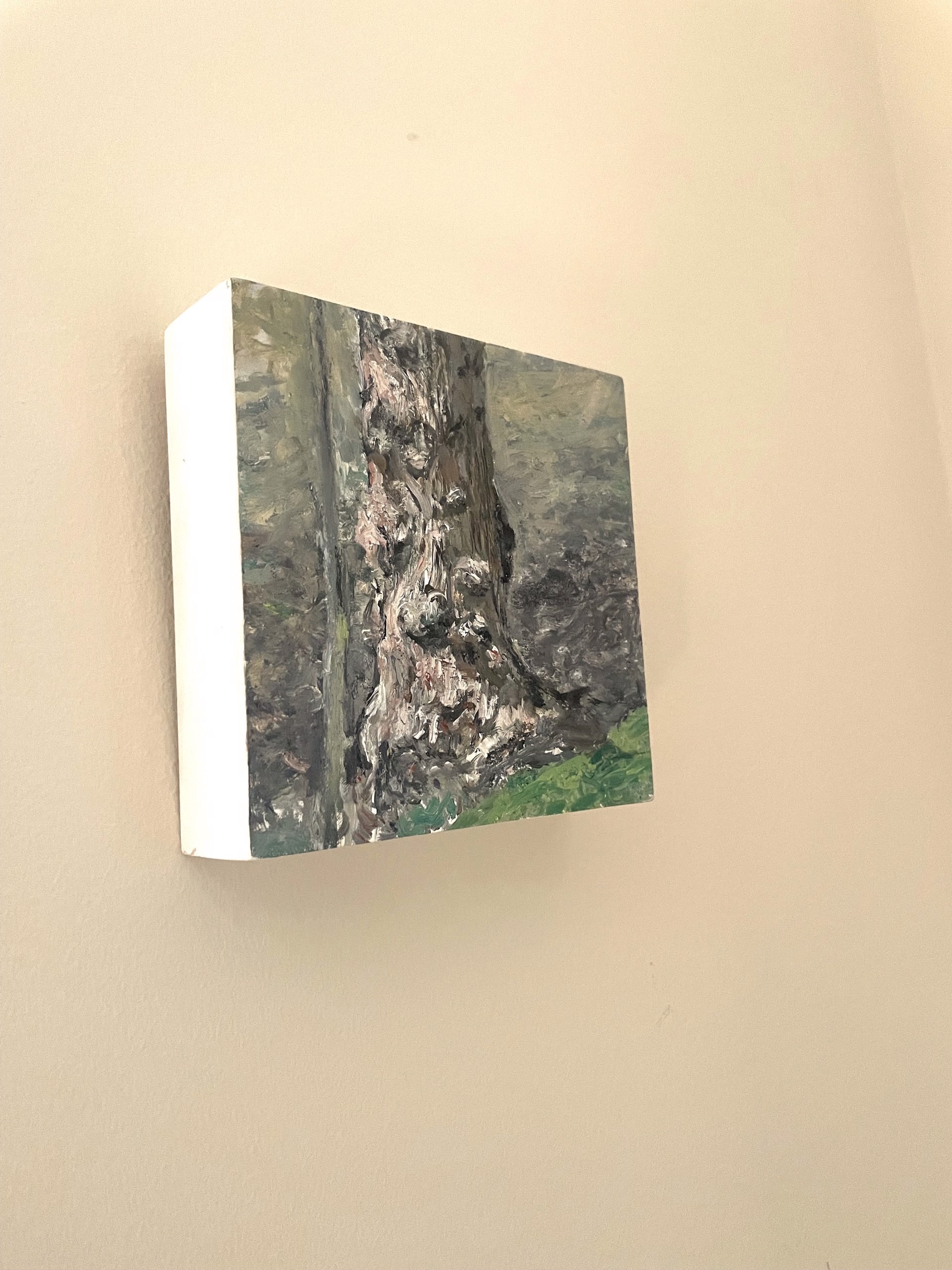 Burled Oak by Judith Peck