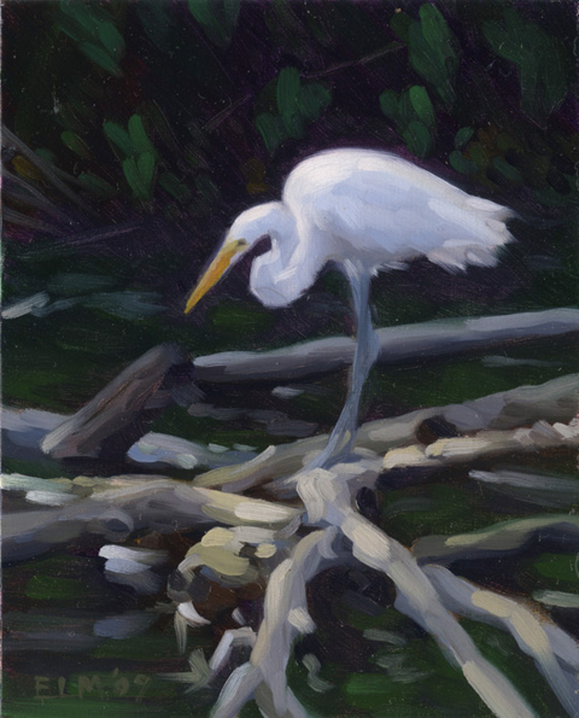 Egret, Audubon Study 1 by Elizabeth McMillan