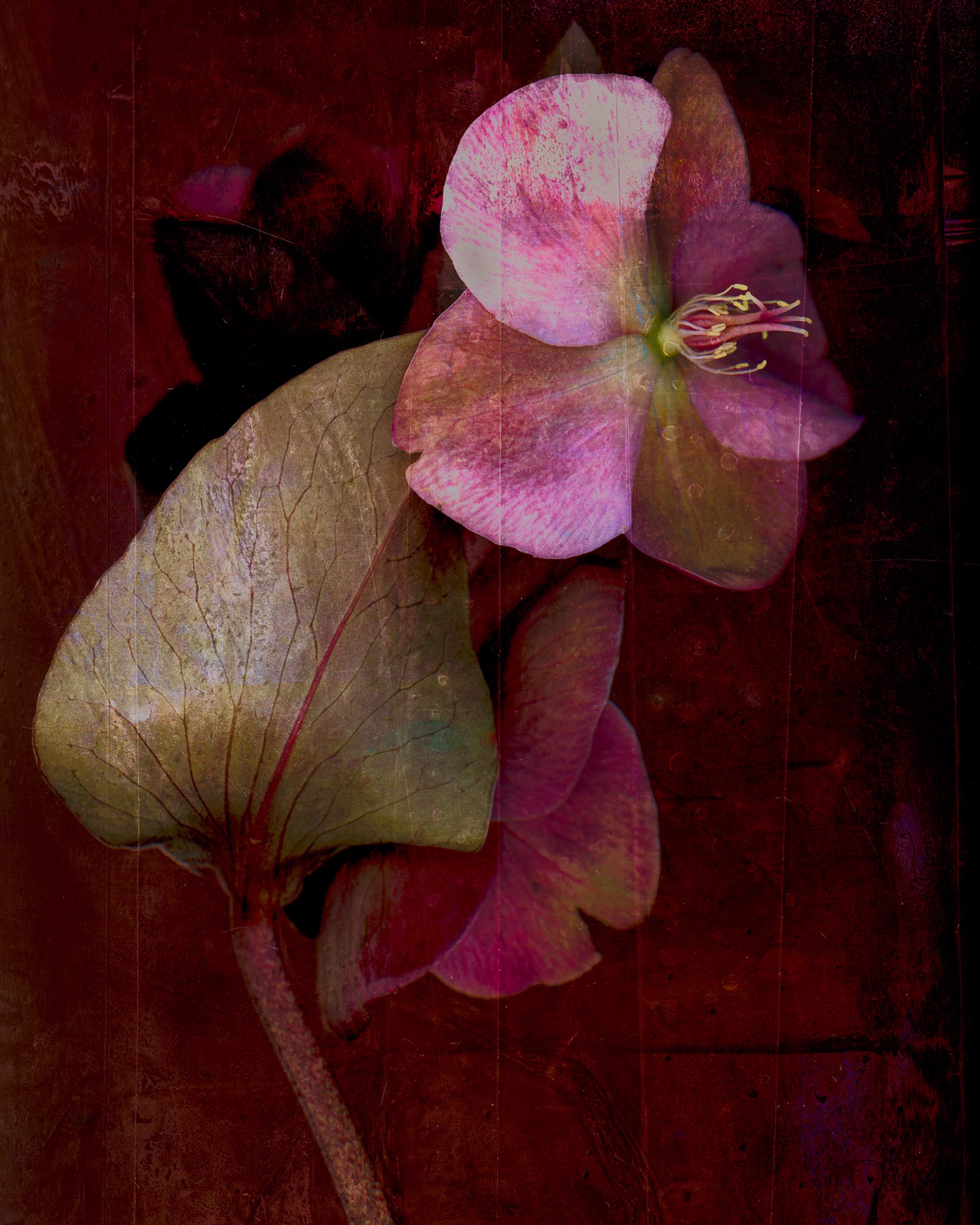 Floral Triptych 2 by Jennifer Pritchard