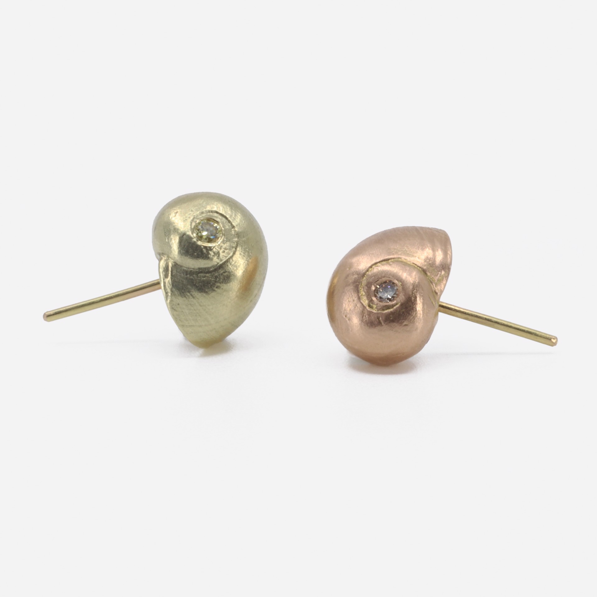 He Sells Seashell: Small Shell Earrings by Christopher Thompson Royds