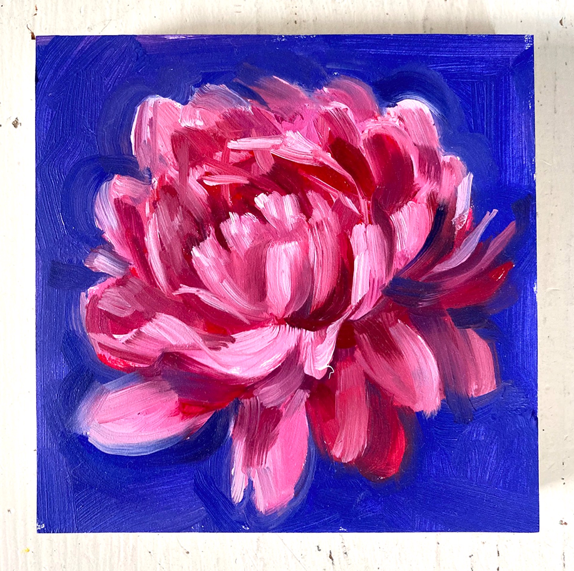 Peony Project #24 by Amy R. Peterson*