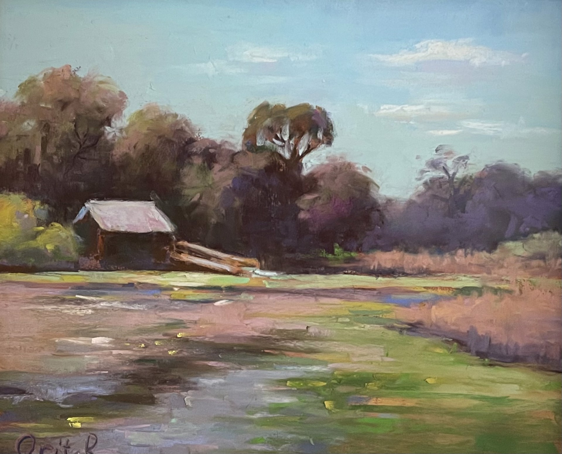 Wetland Afternoon by Orit Reuben