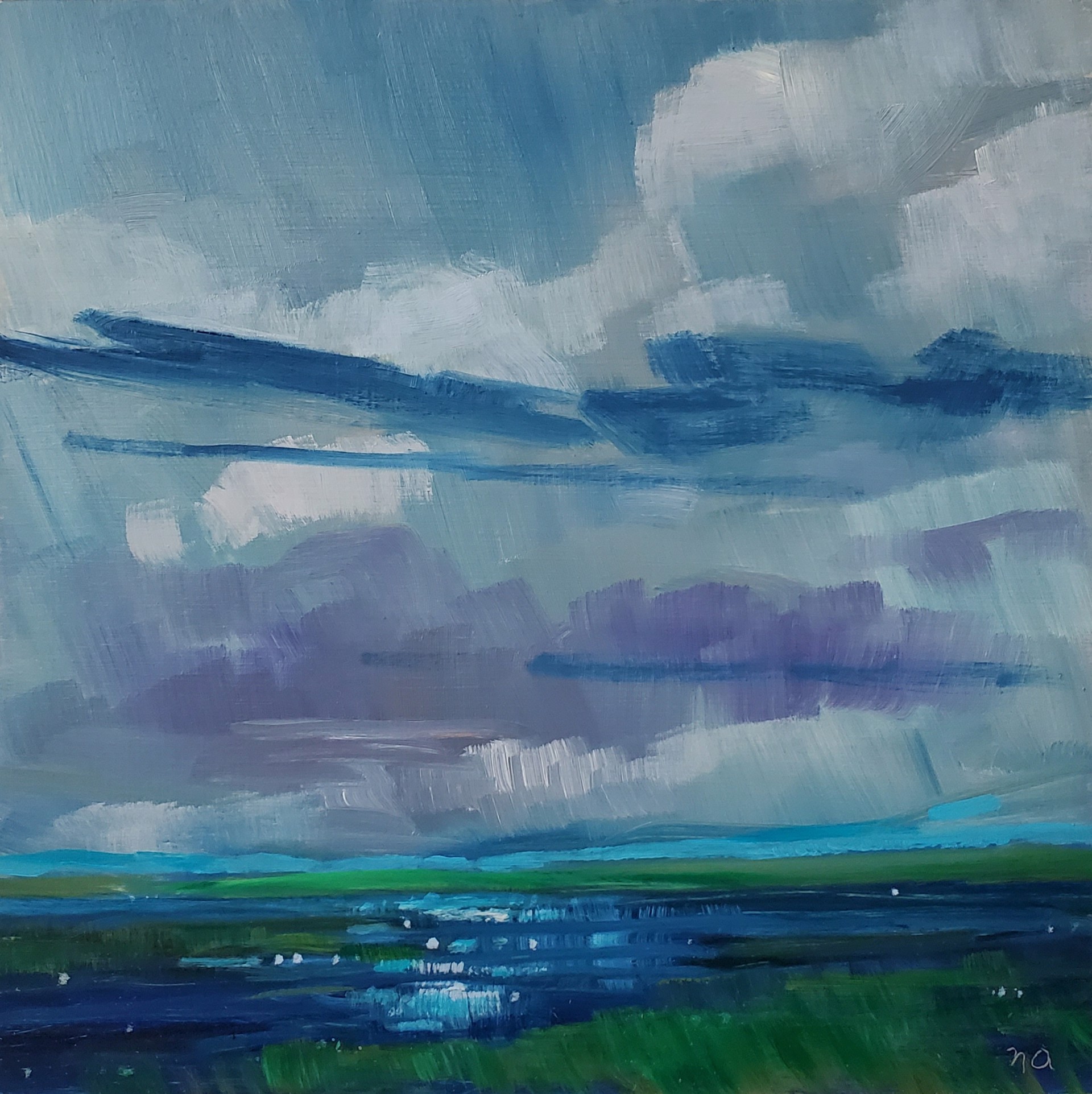 Overcast by Nicki Ault