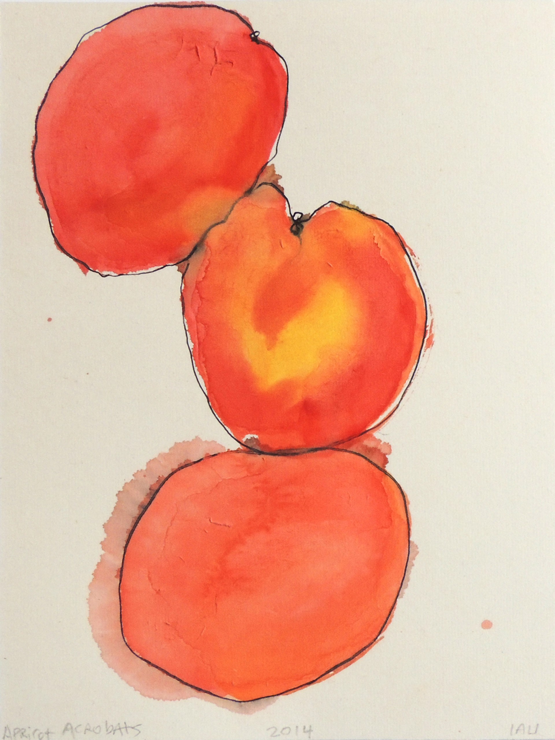 apricot acrobats by Alan Lau