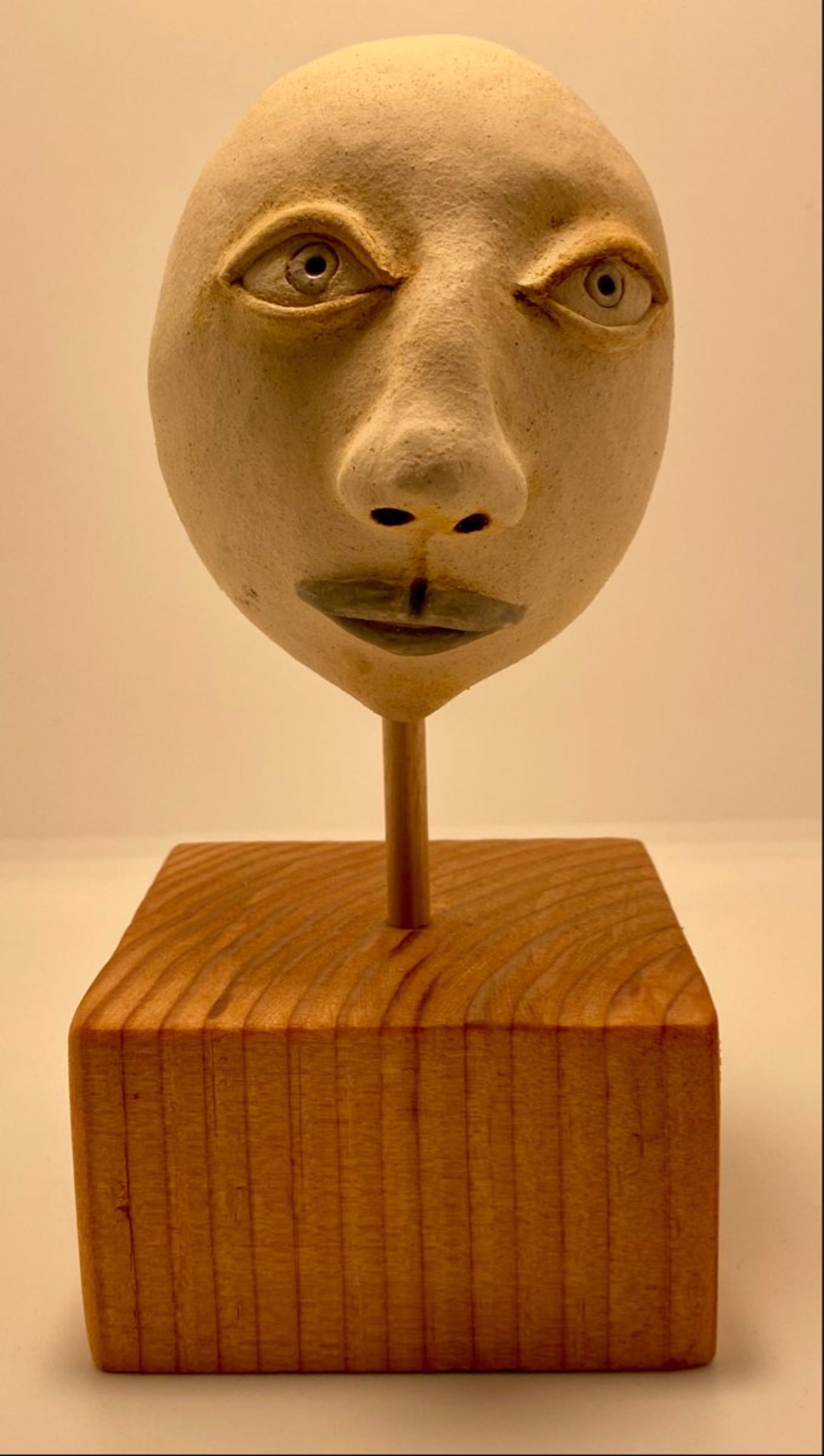 Youth Egg Head by Sue Morse