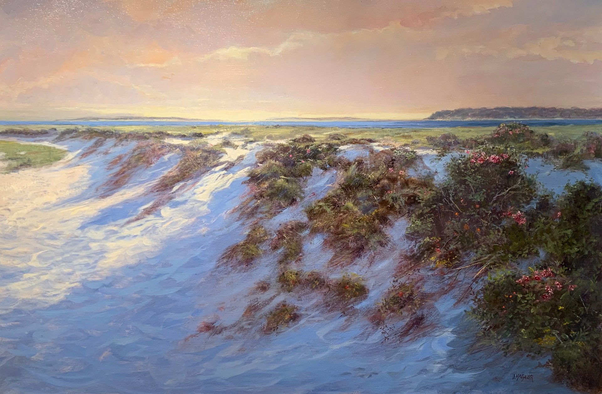 Distant Shores by James Magner