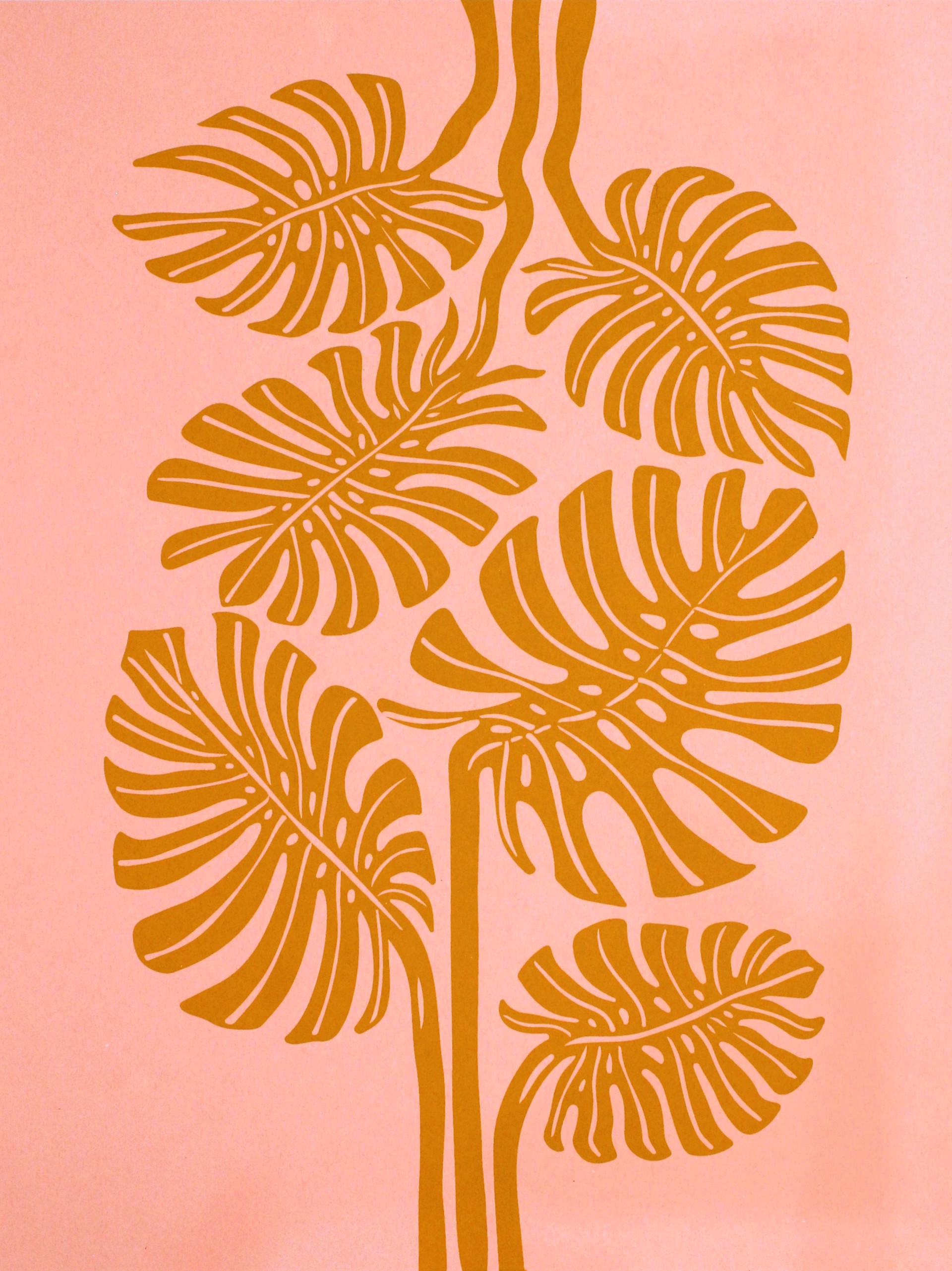 Monstera by Mirel Fraga