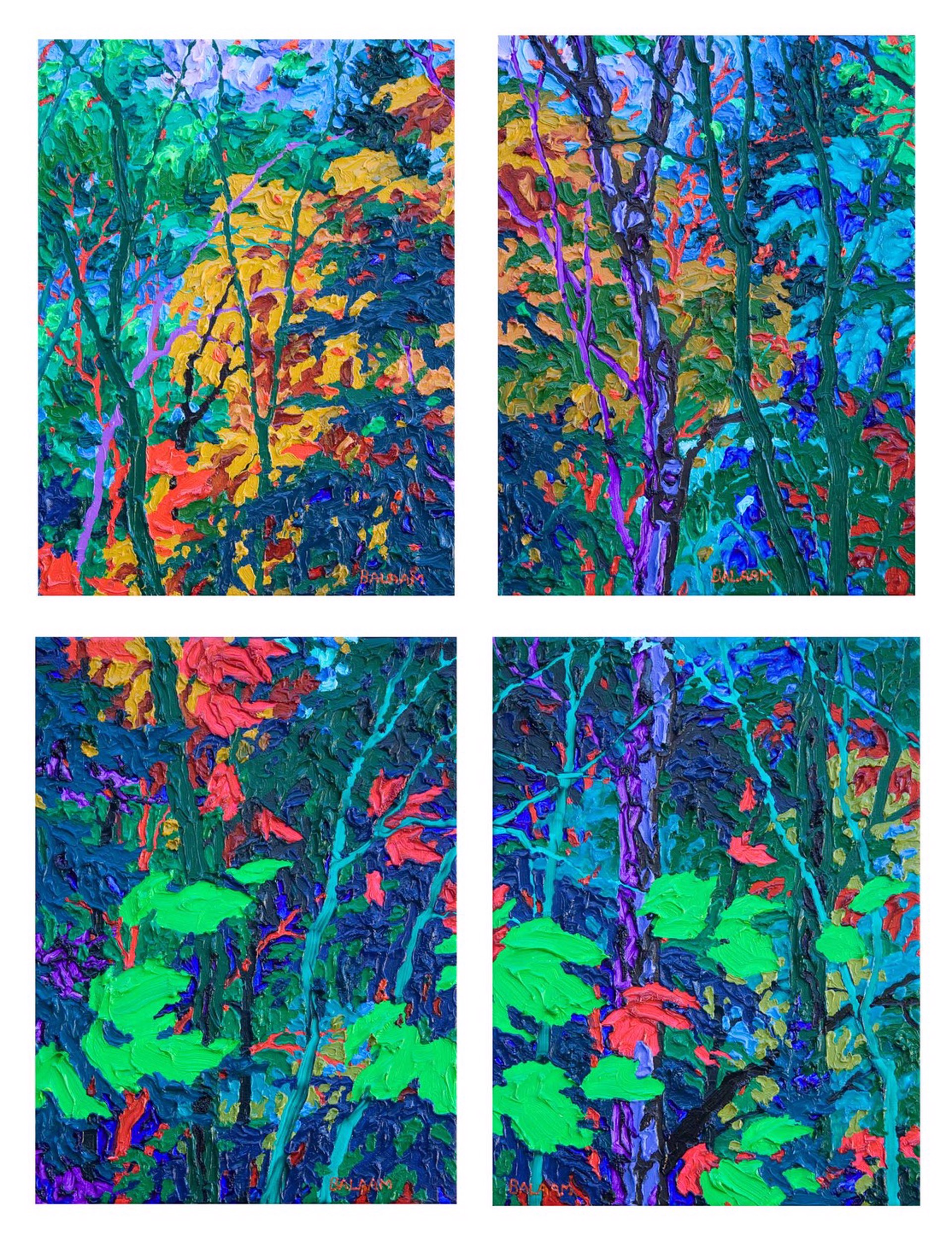 Gem - Moonlight in the Forest I,II,III,IV by Frank Balaam