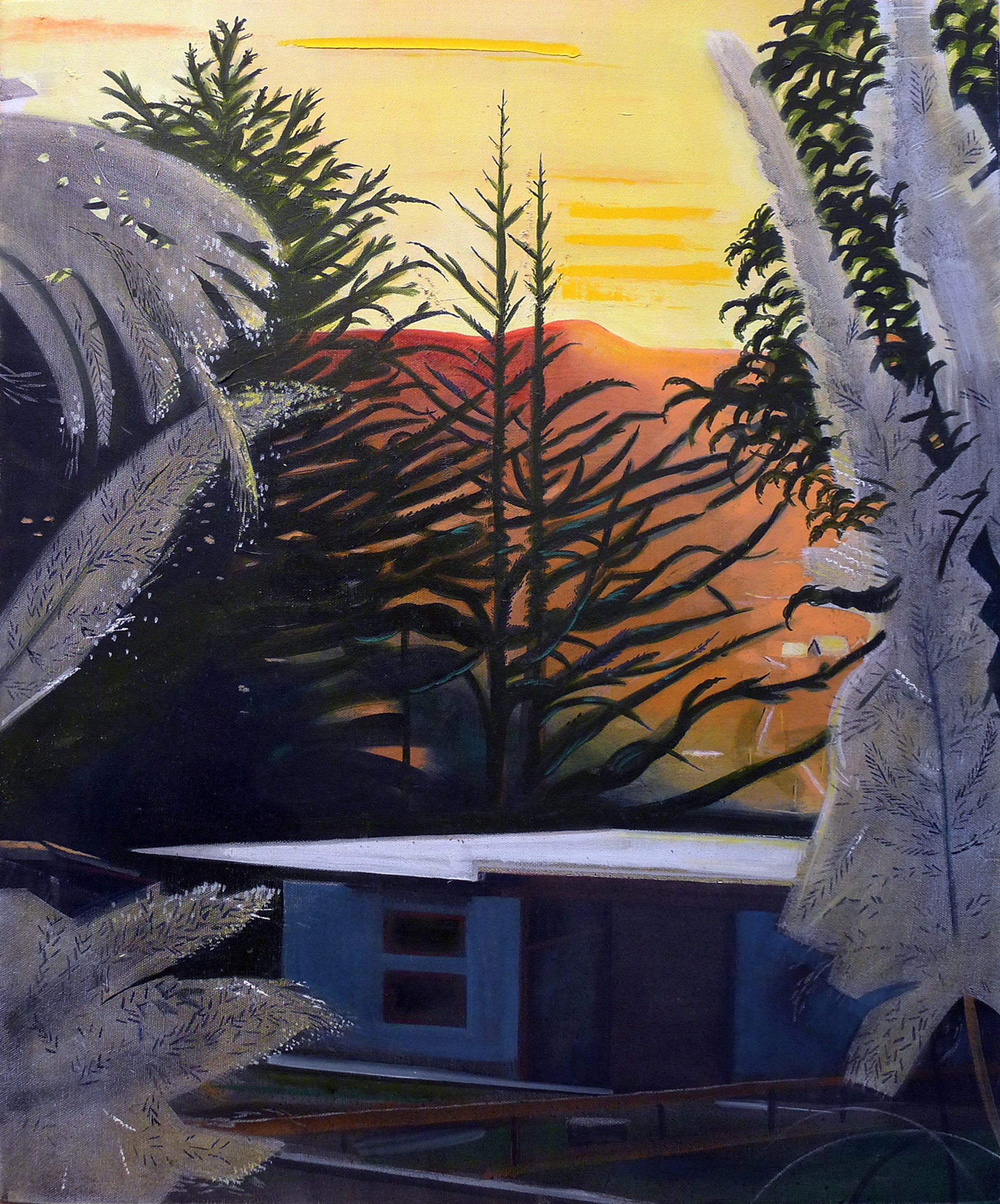 Sunset With Pampas Grass by Alexander Rohrig