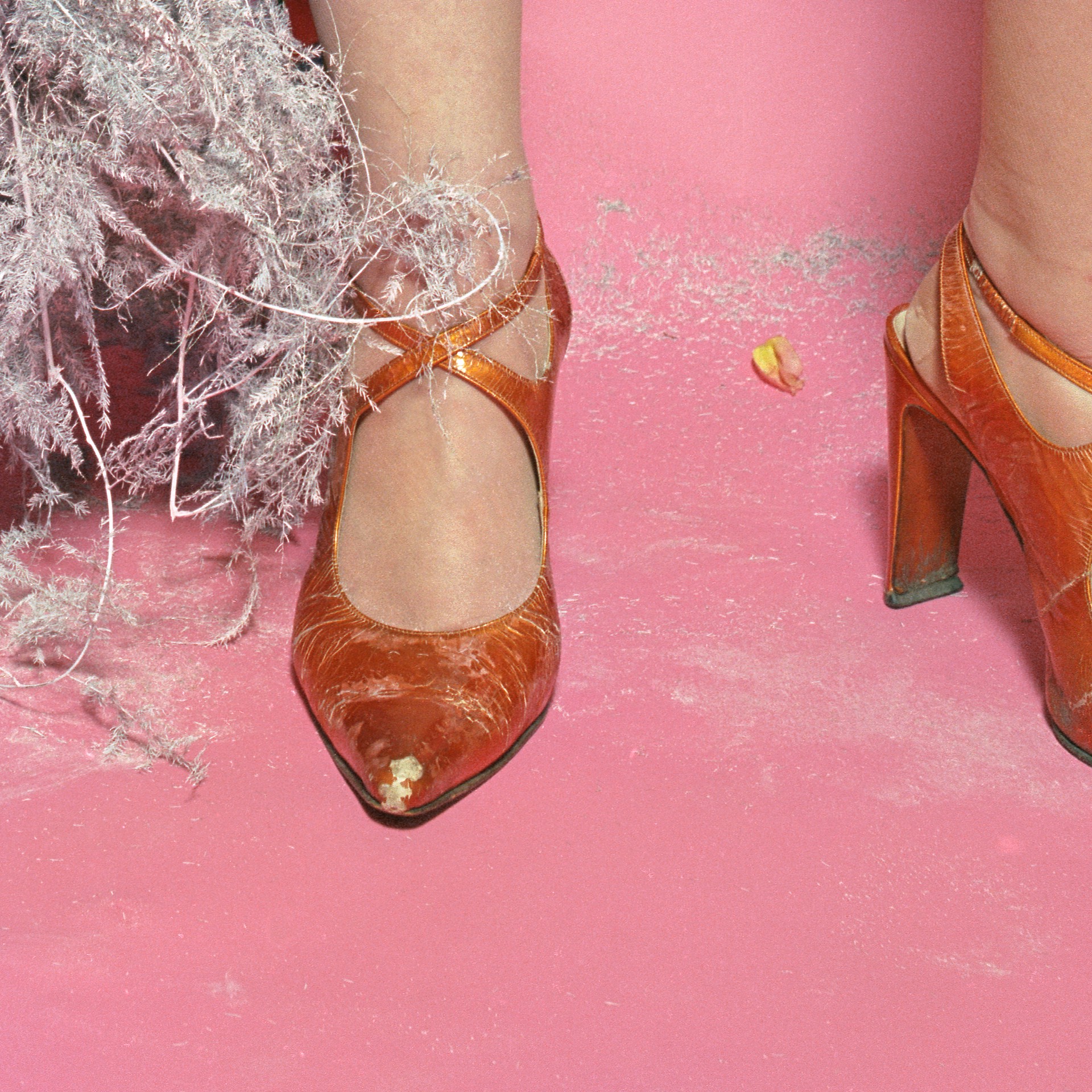 Conceptual Still Life with Tarnished Heels by Denise Prince