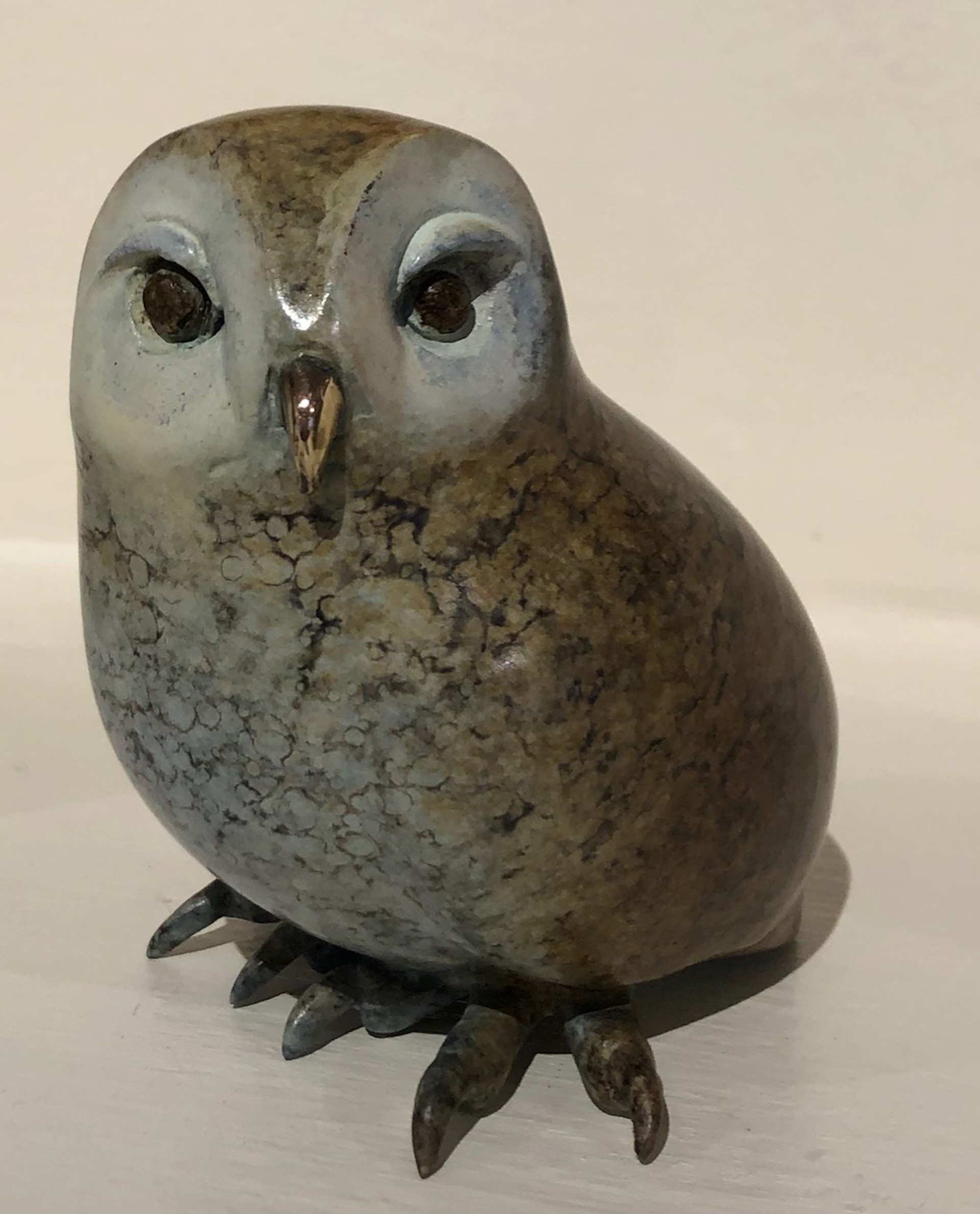Little Owl by Brian Arthur