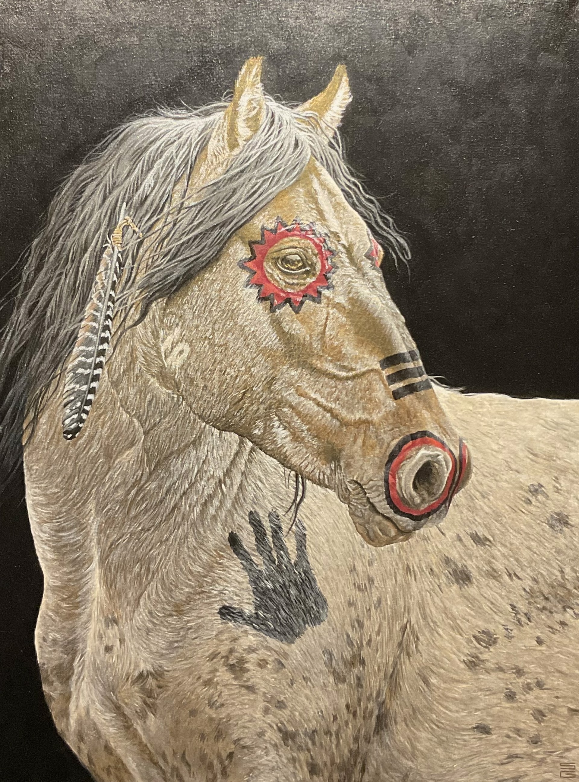 Painted Pony by Seth Gordon