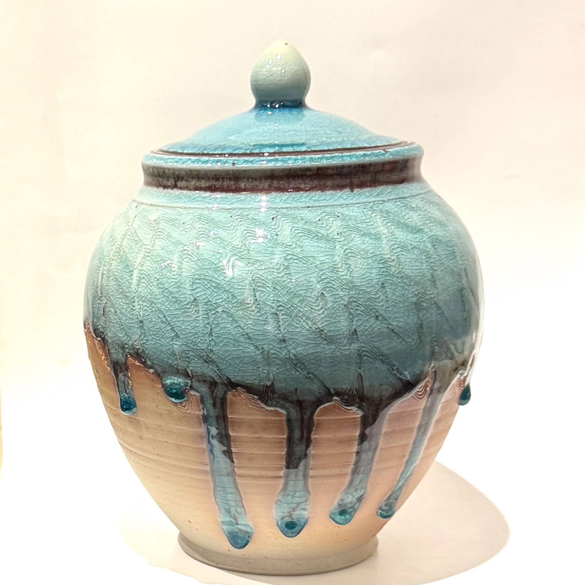 Lidded Large Jar  TH23-22 by Tierney Hall