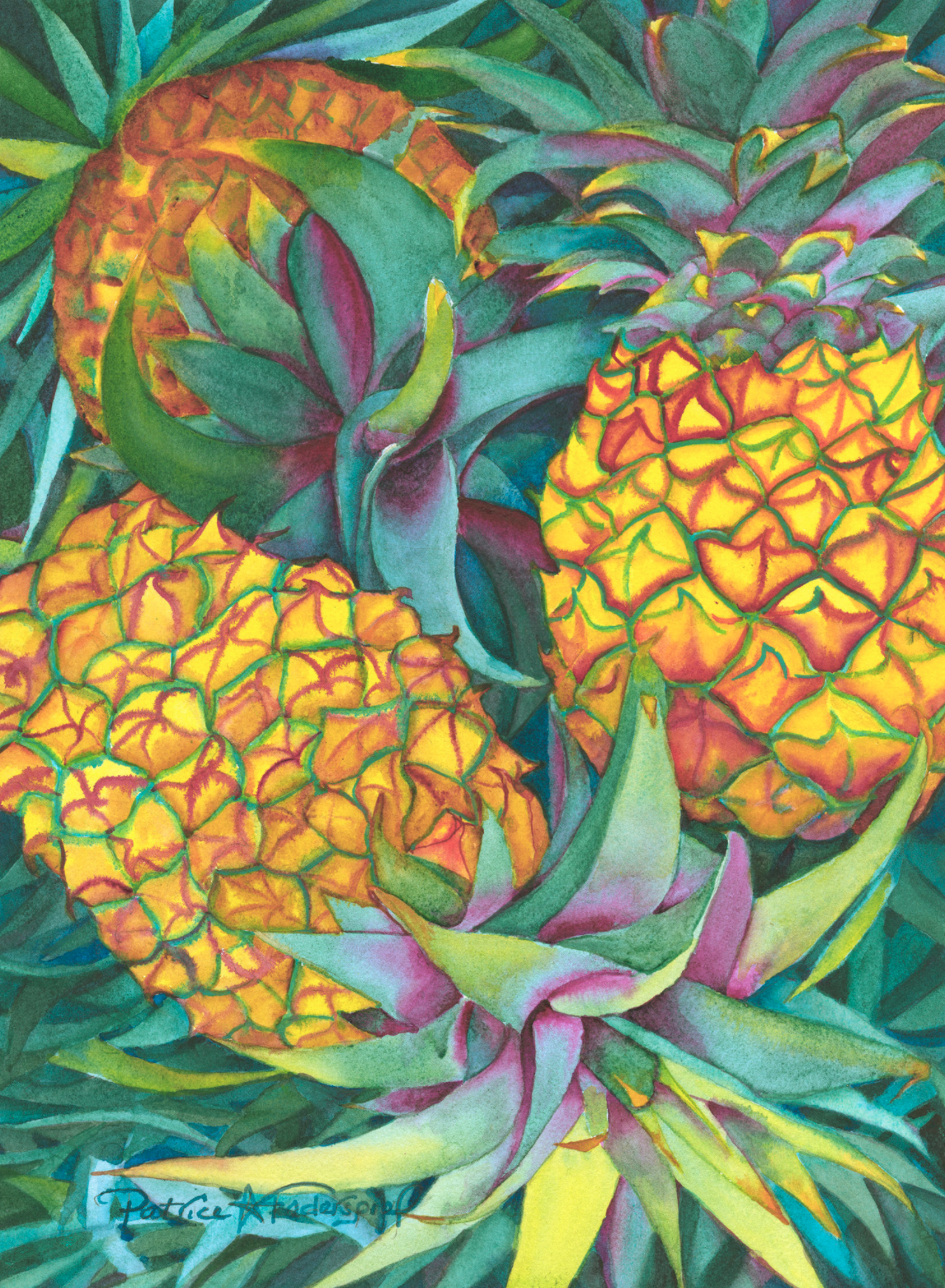 A Passion for Pineapples by Patrice Ann Federspiel