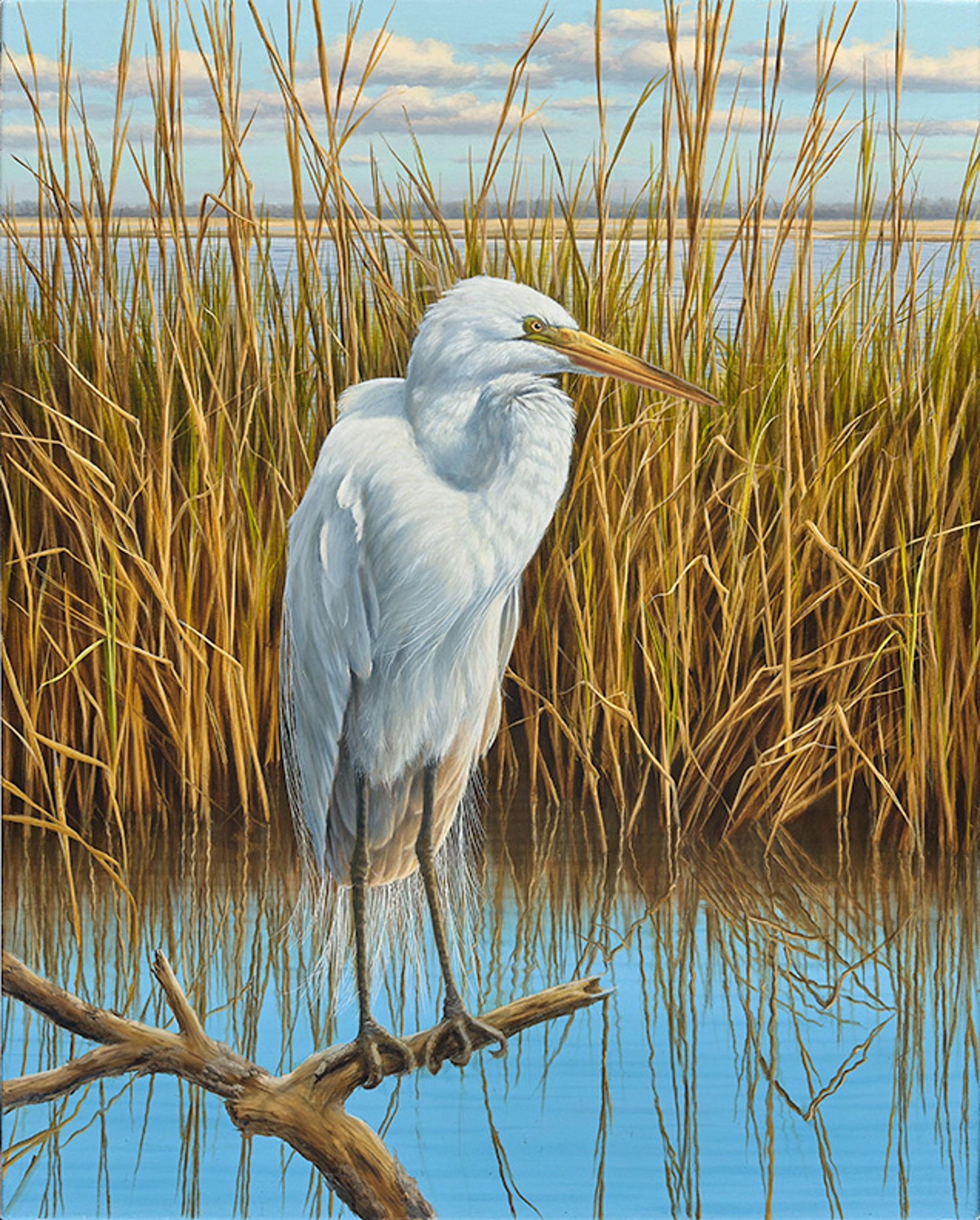 White Egret by HENRY VON GENK III