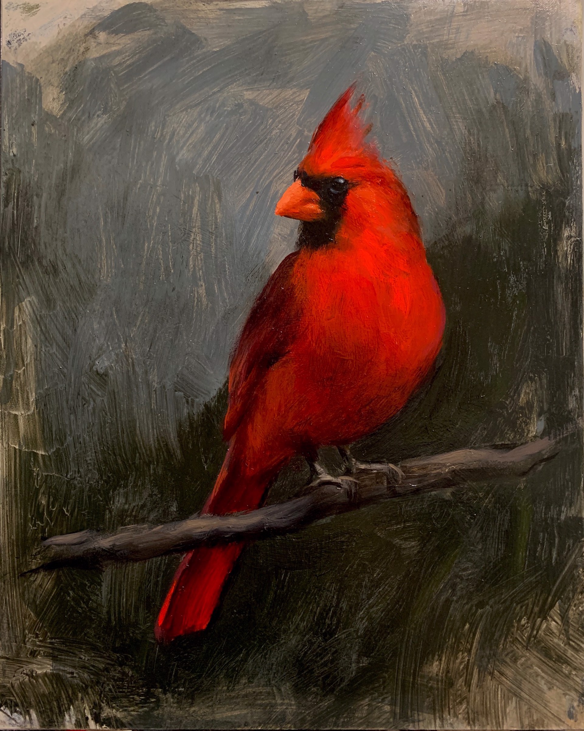 Cardinal by Larisa Brechun