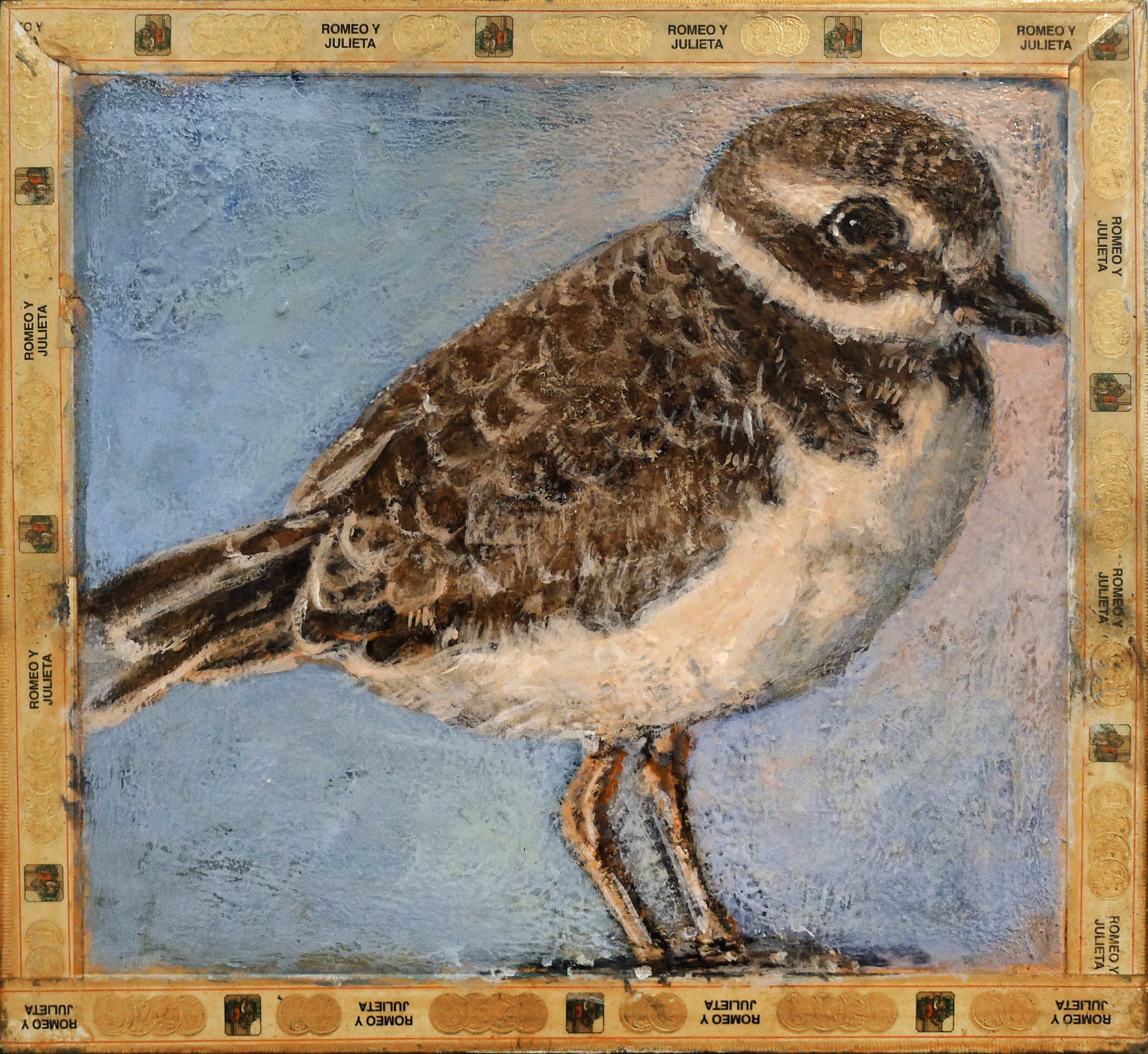 Plover / Romeo and Julieta by Ed Musante