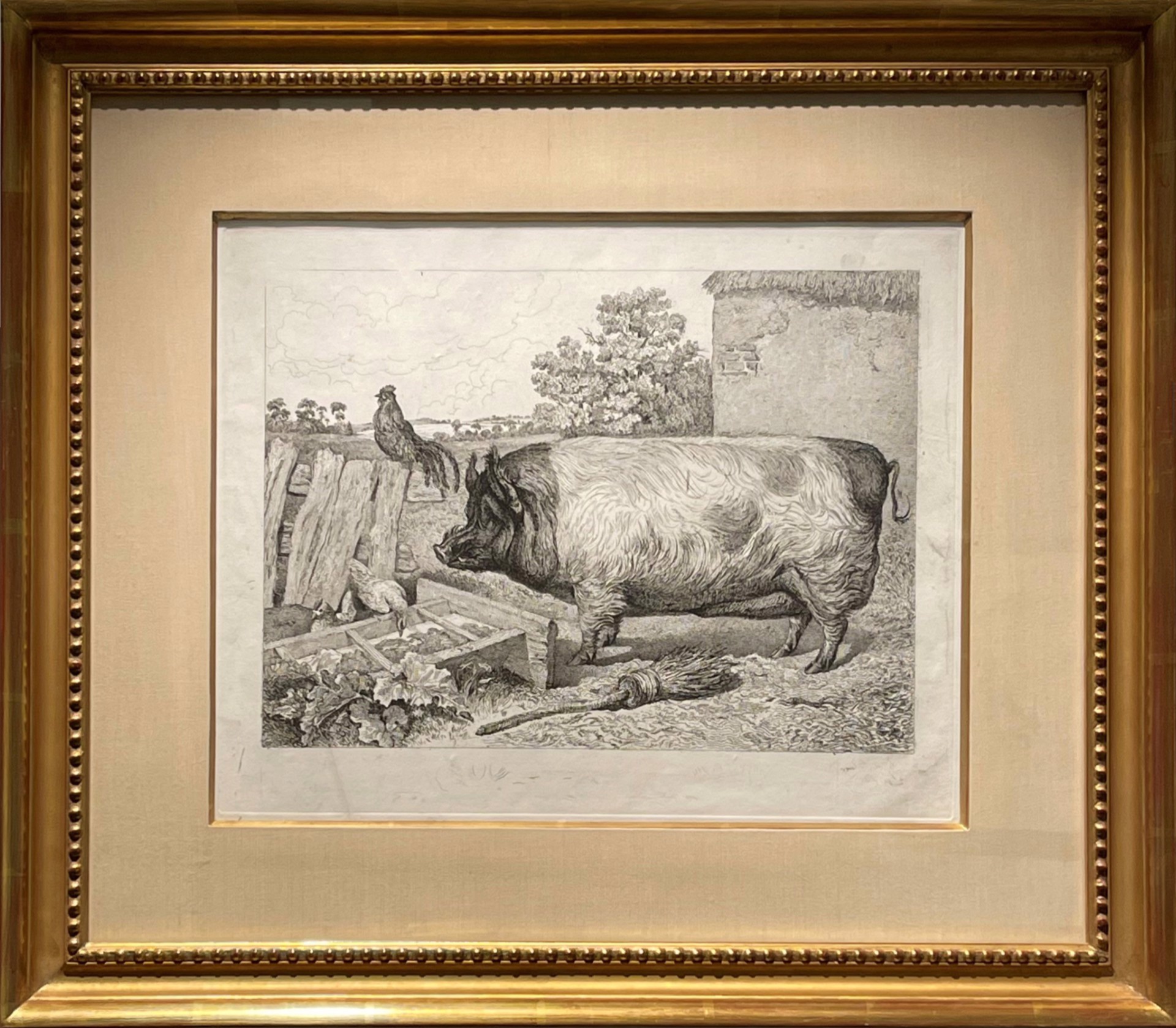 A British Boar, 1818 by Sir Edwin Landseer