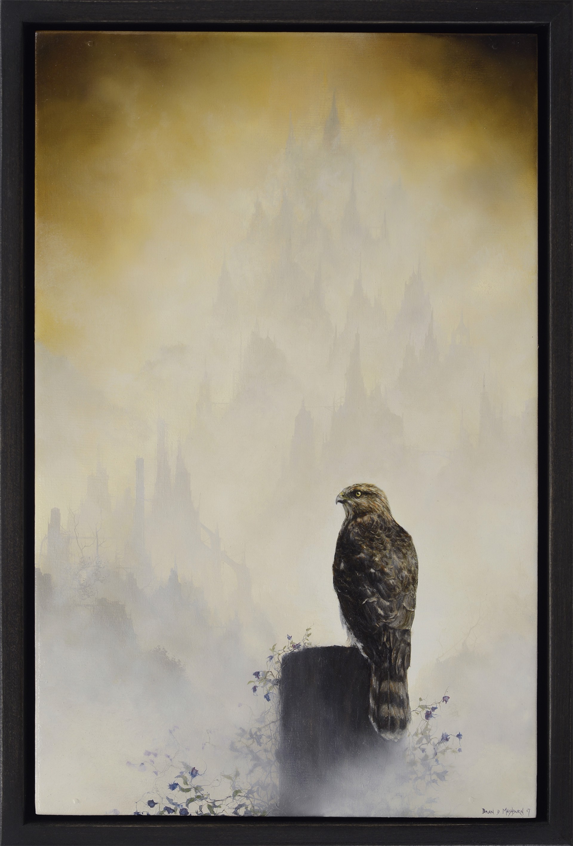 Cooper's Hawk by Brian Mashburn