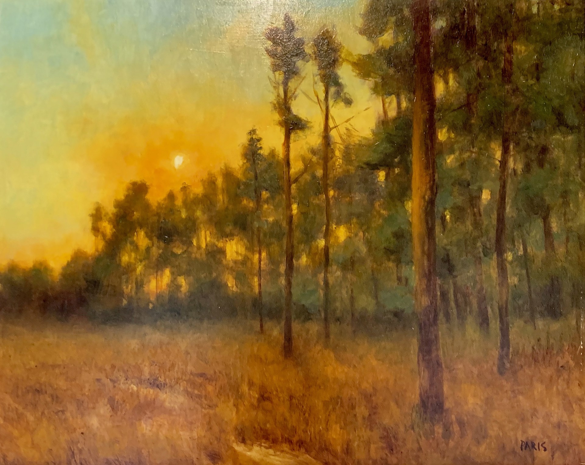 Sunset Pines by Deborah Paris