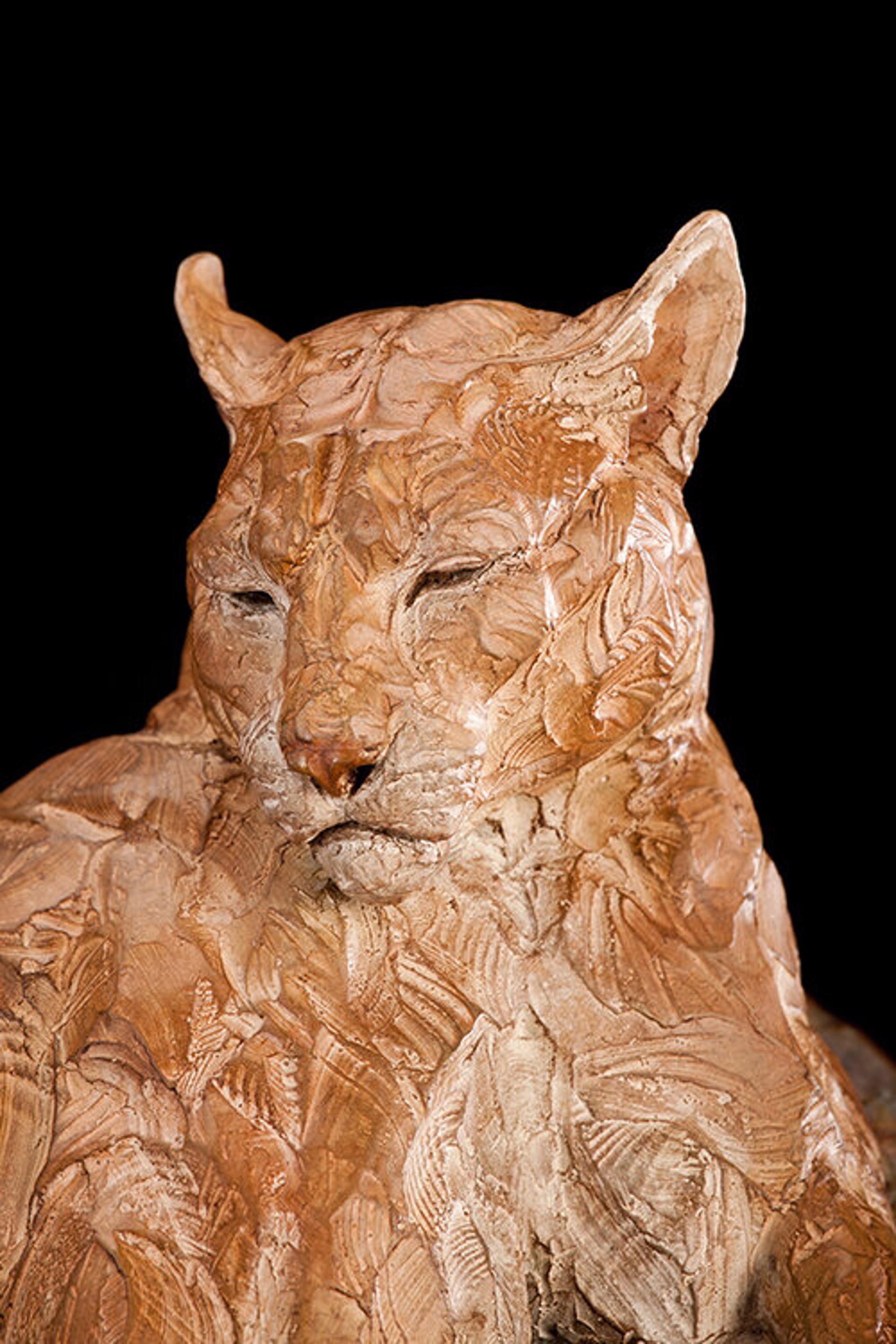 Vantage Point - Master (Edition of 35) by Ken Rowe