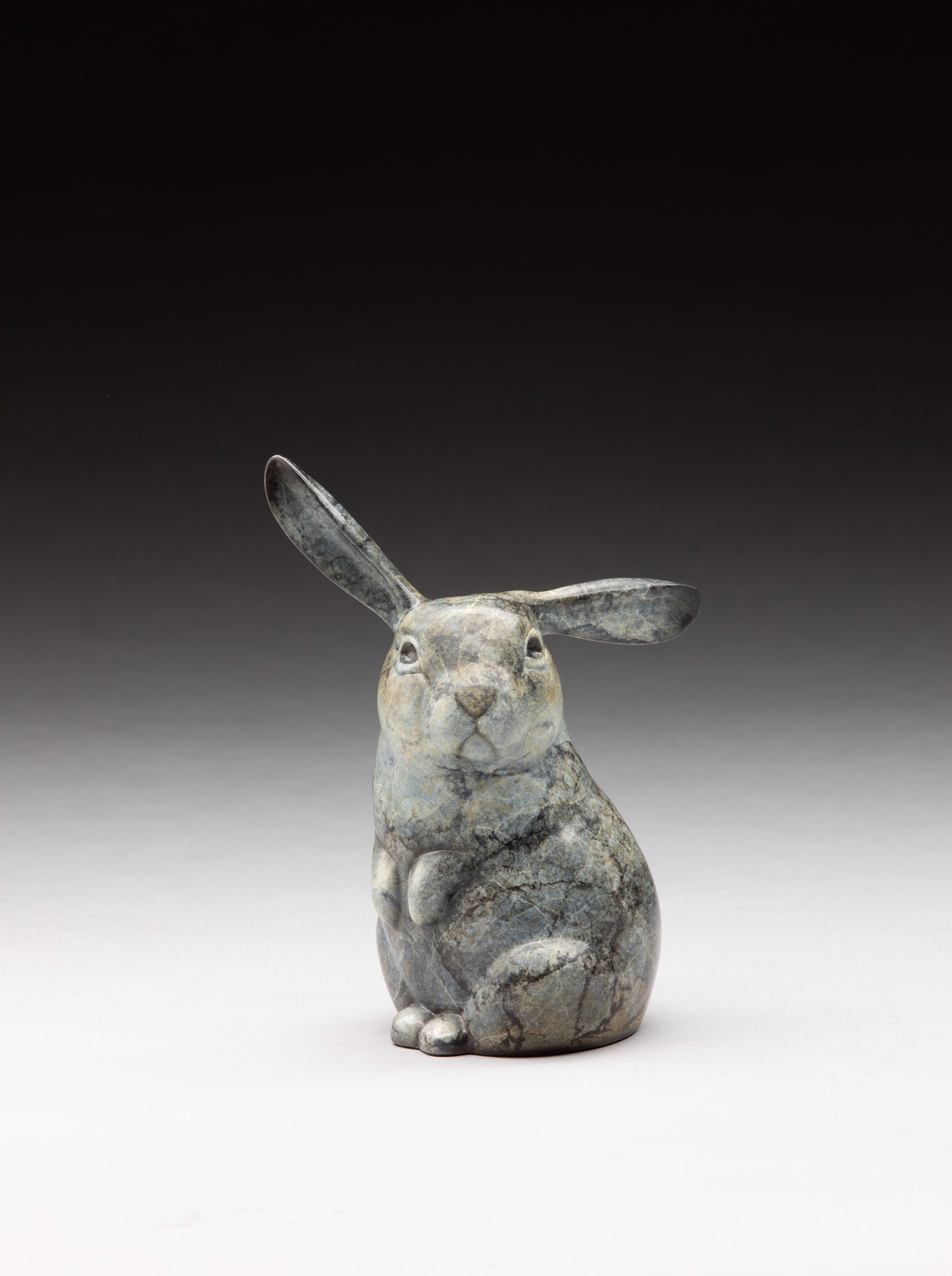 Bunny - Echo by Joshua Tobey