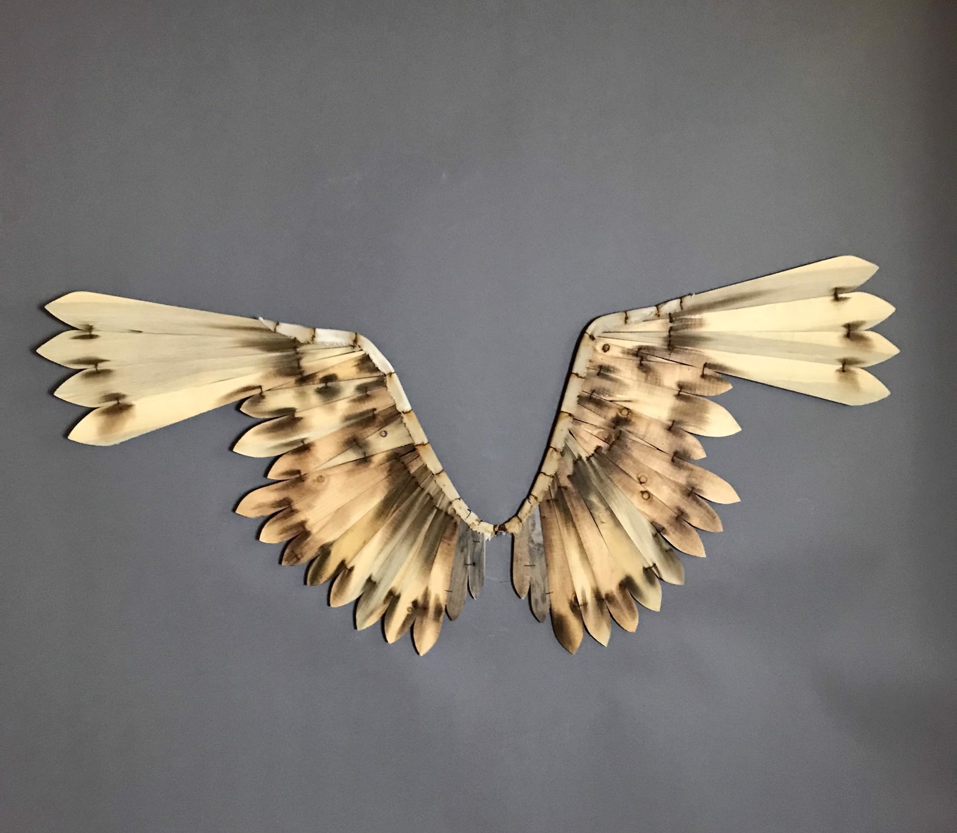 Great Horned Owl Wings by Geoffrey Gorman