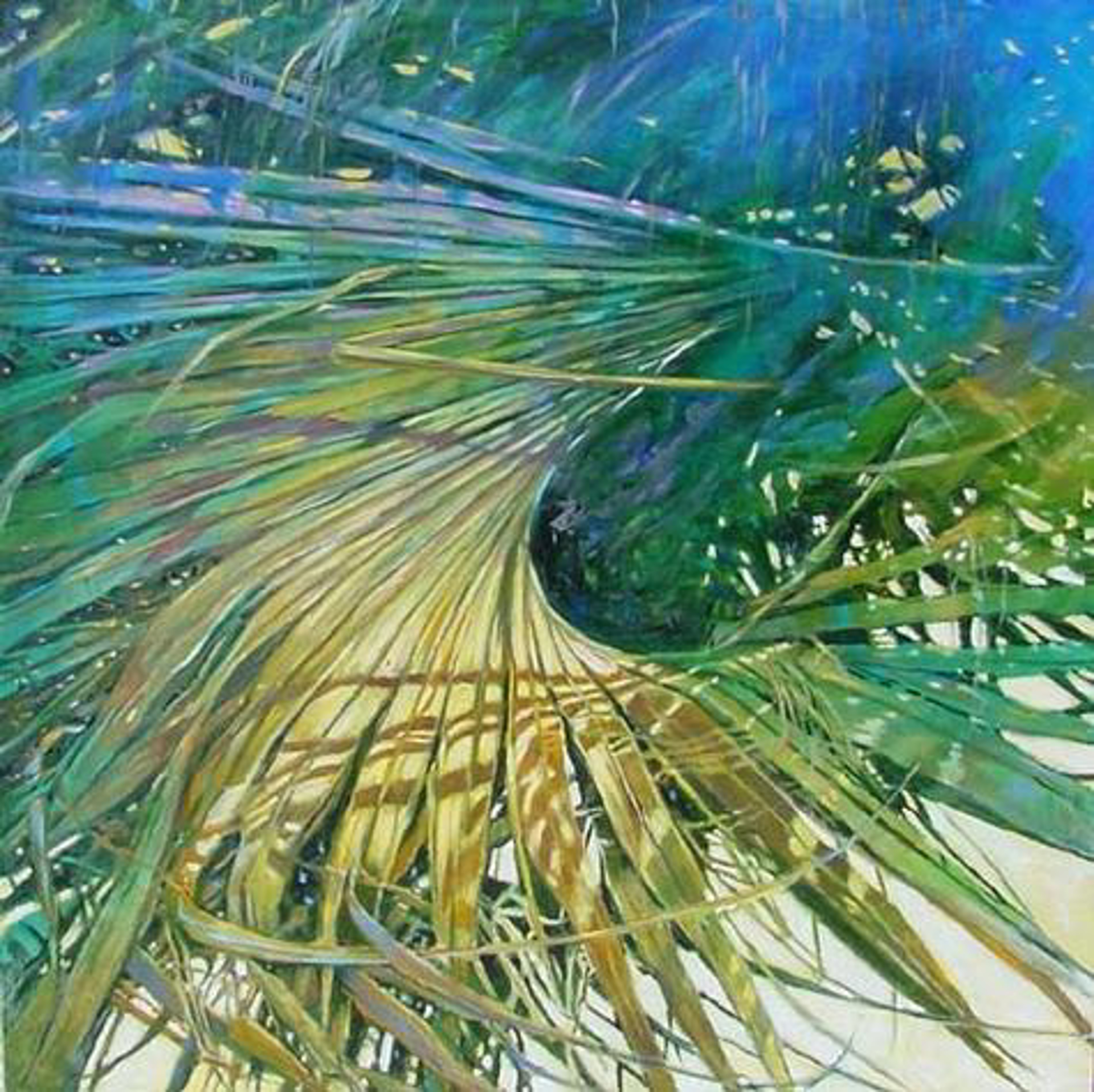 Mysterious Palm by Patricia Madison-Lusk -- Giclee Prints