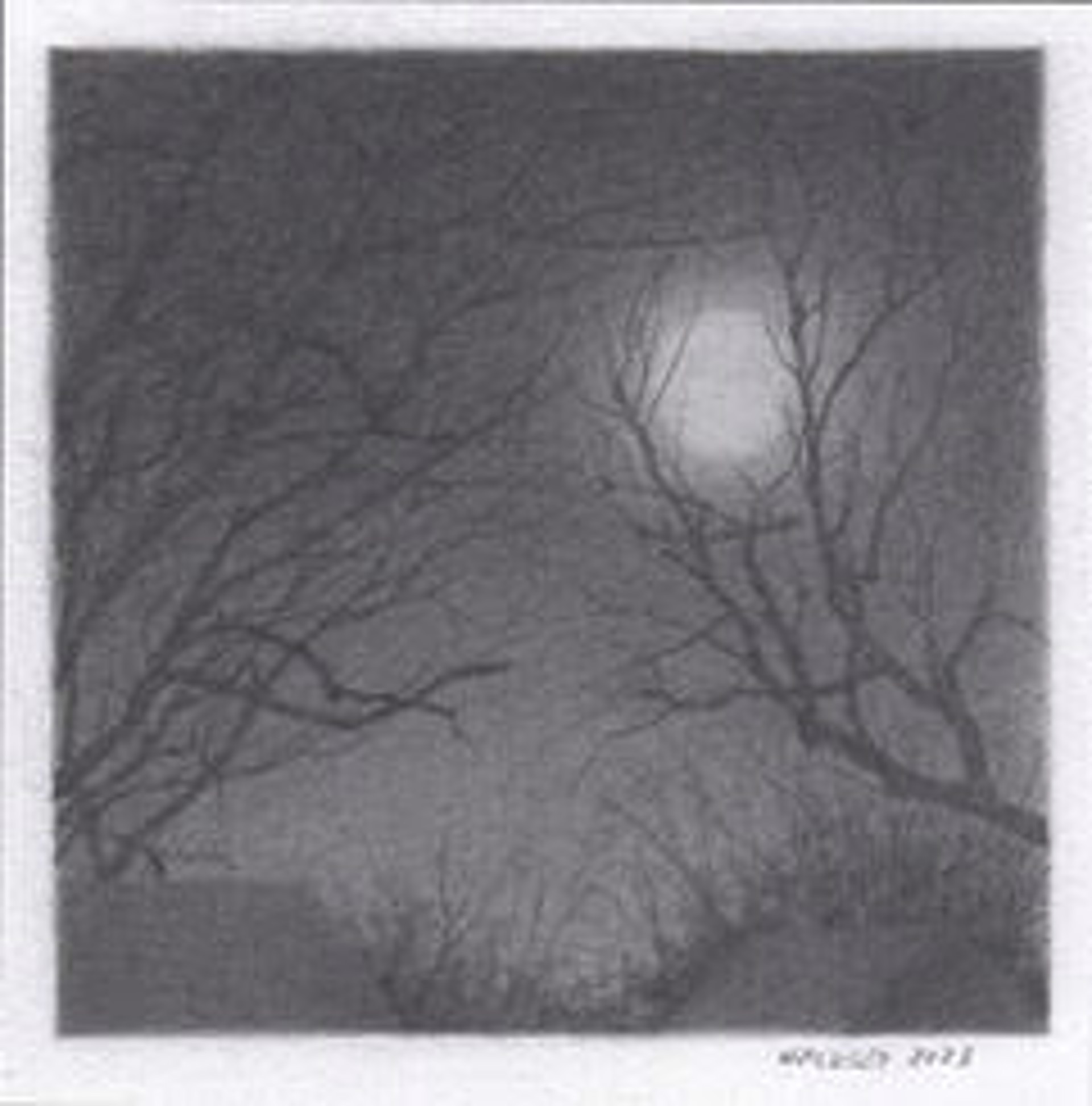 Full Moon by Peter Walkley
