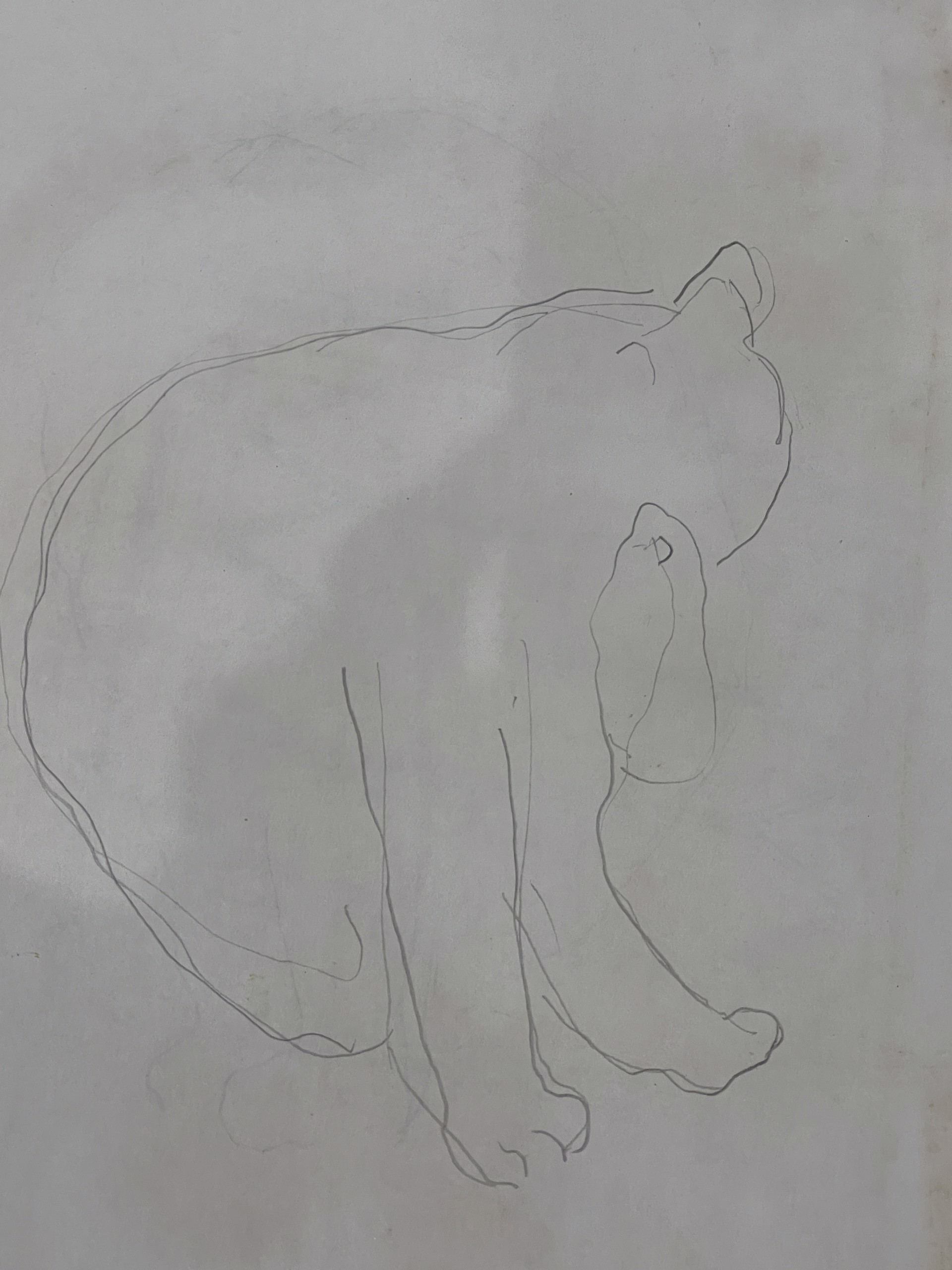 Outline of a Cat by Shirley Rabe' Masinter