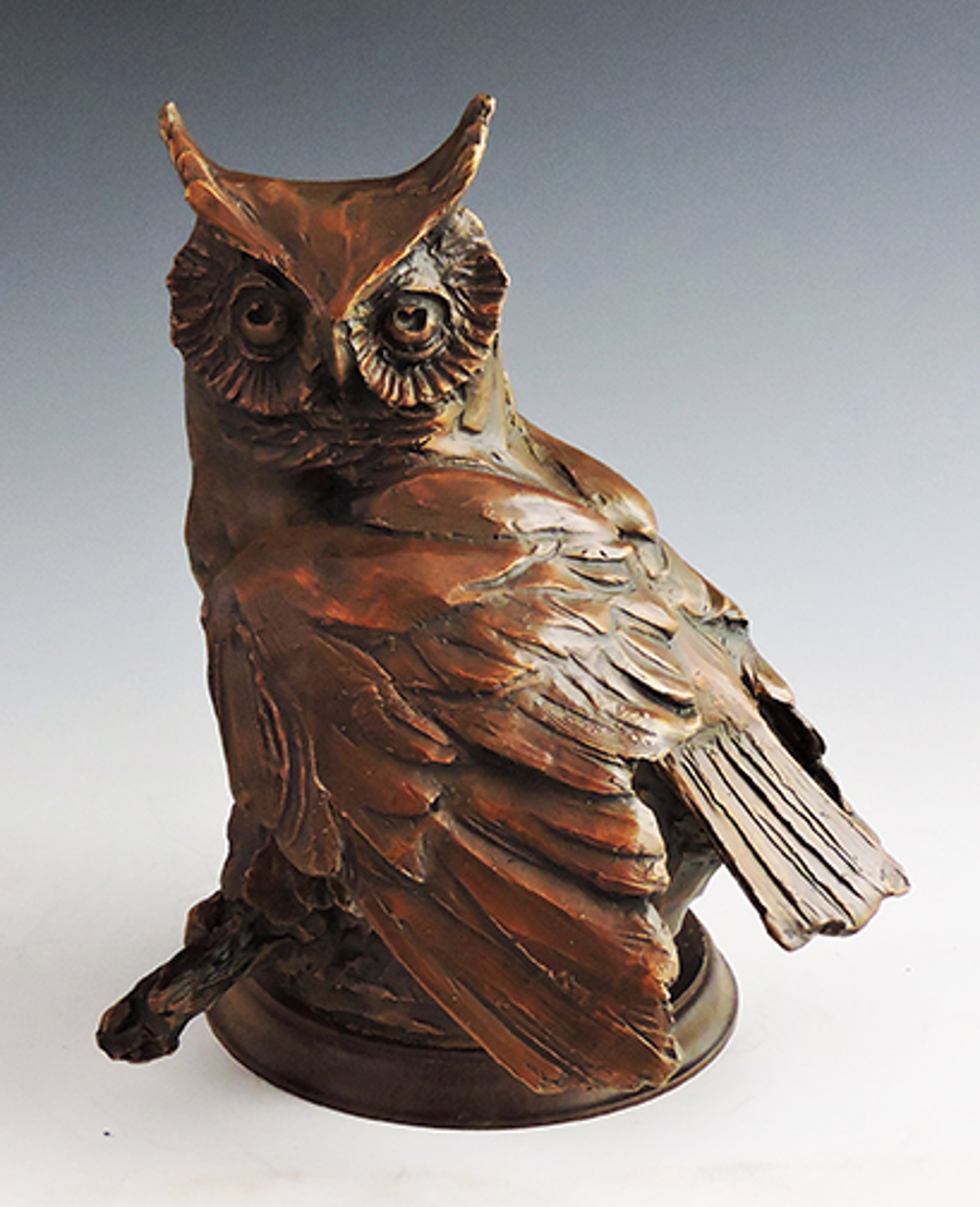 Screech Owl by Sandy Scott