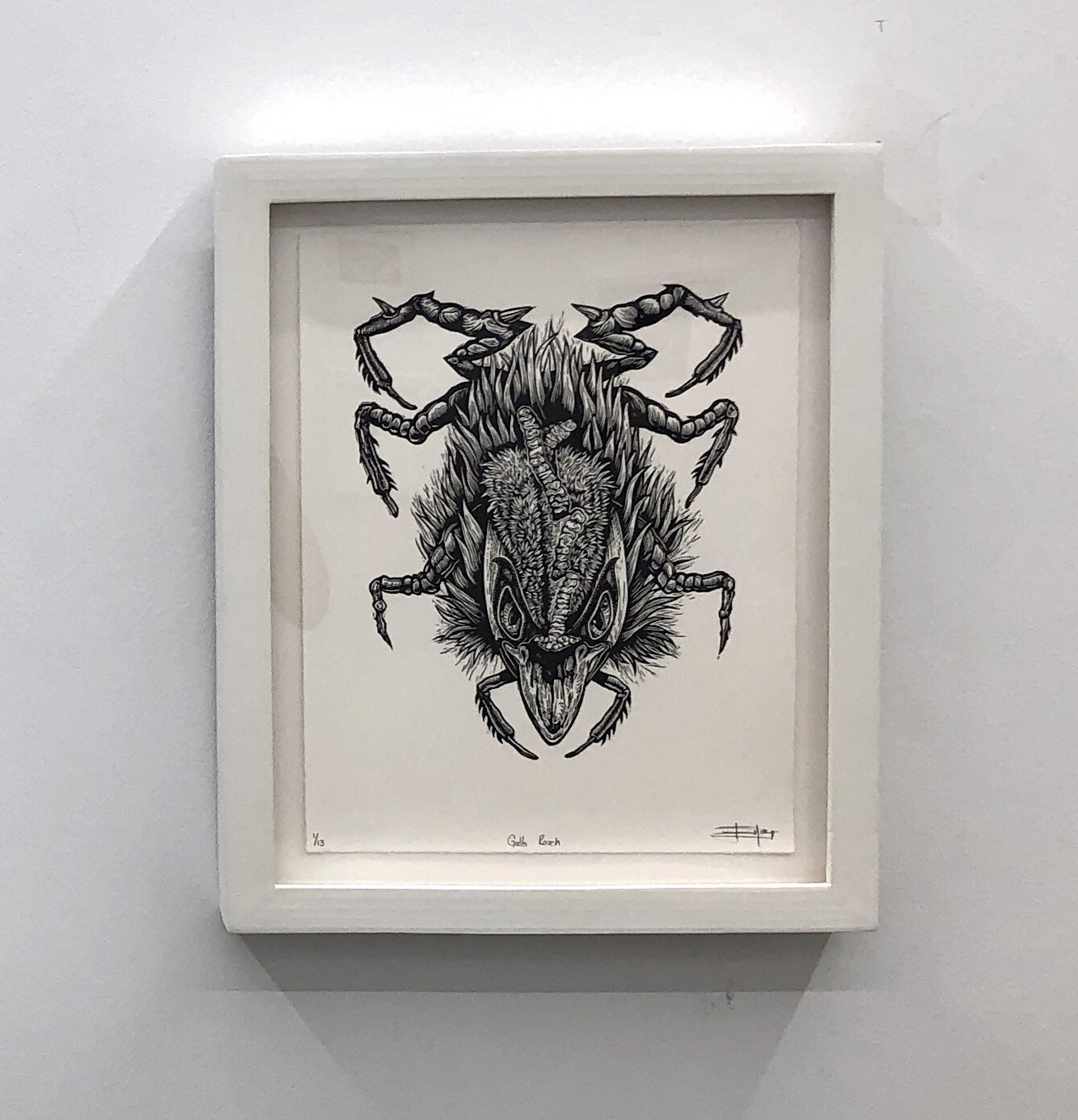 Gallo Roach (Rooster Roach) by Juan de Dios Mora
