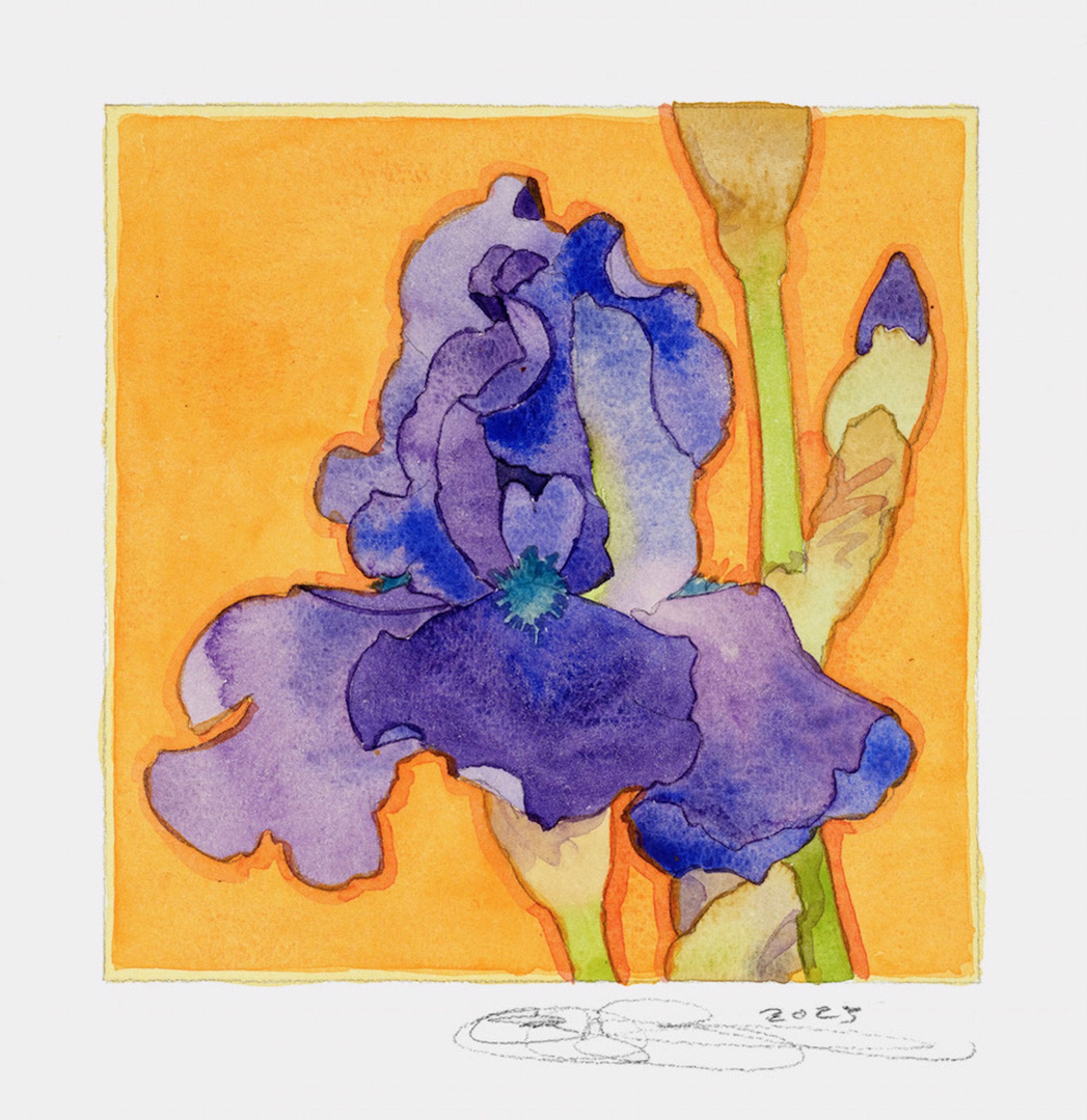 Iris on an Orange Background by Gary Bukovnik