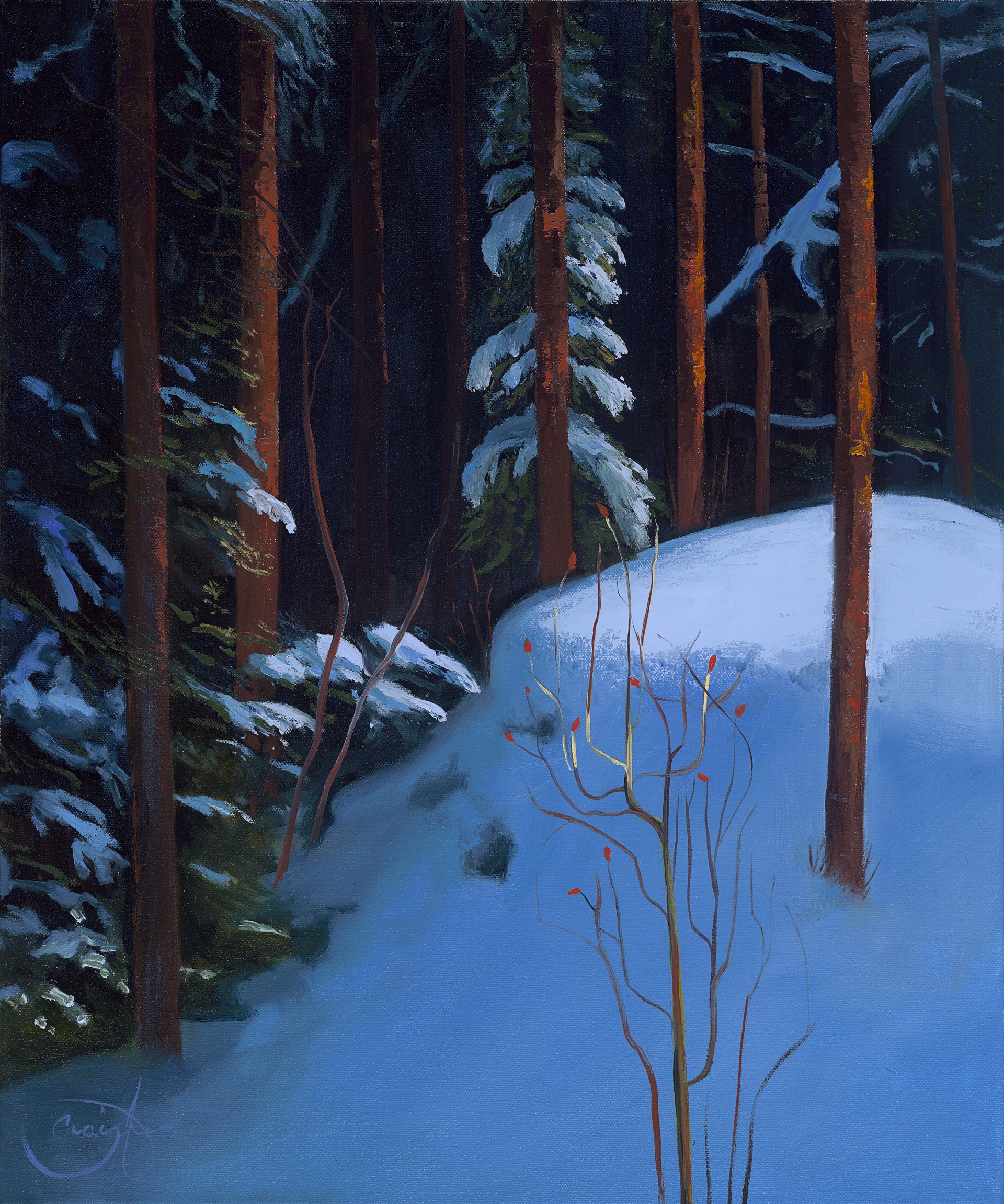 Winter Wonder II by Craig Freeman