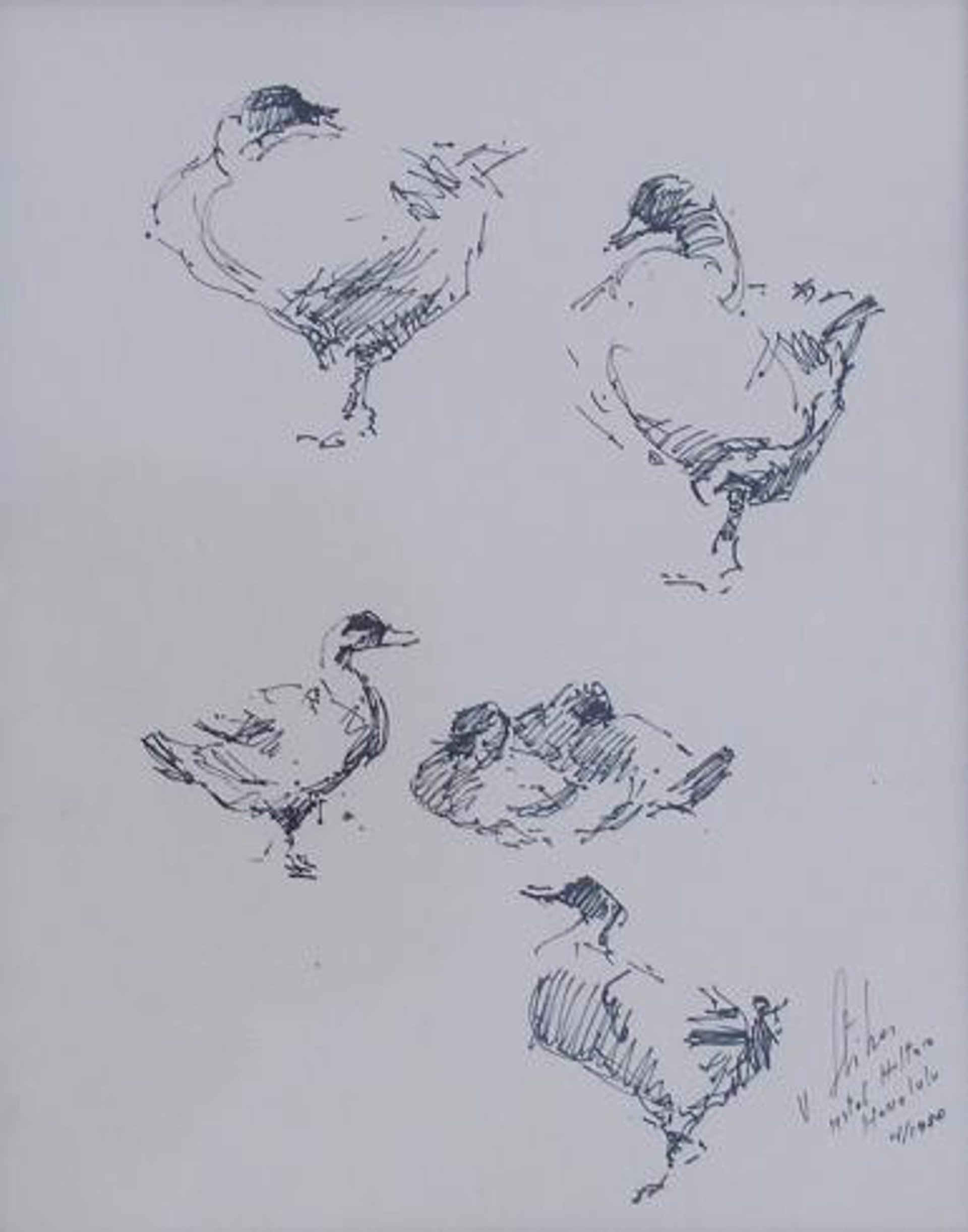 Family of Ducks by Vladan Stiha