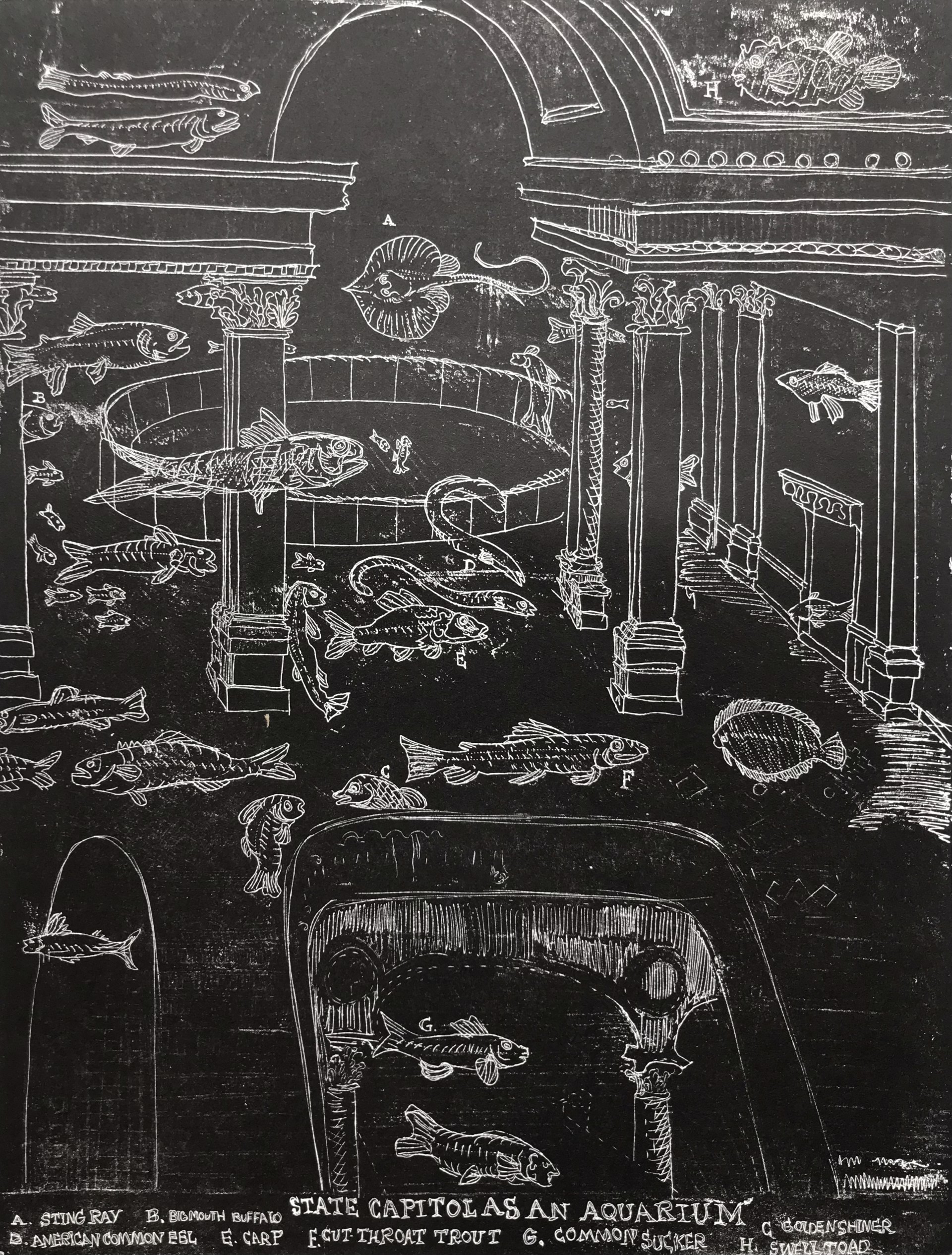 State Capitol As An Aquarium by Amy Worthen
